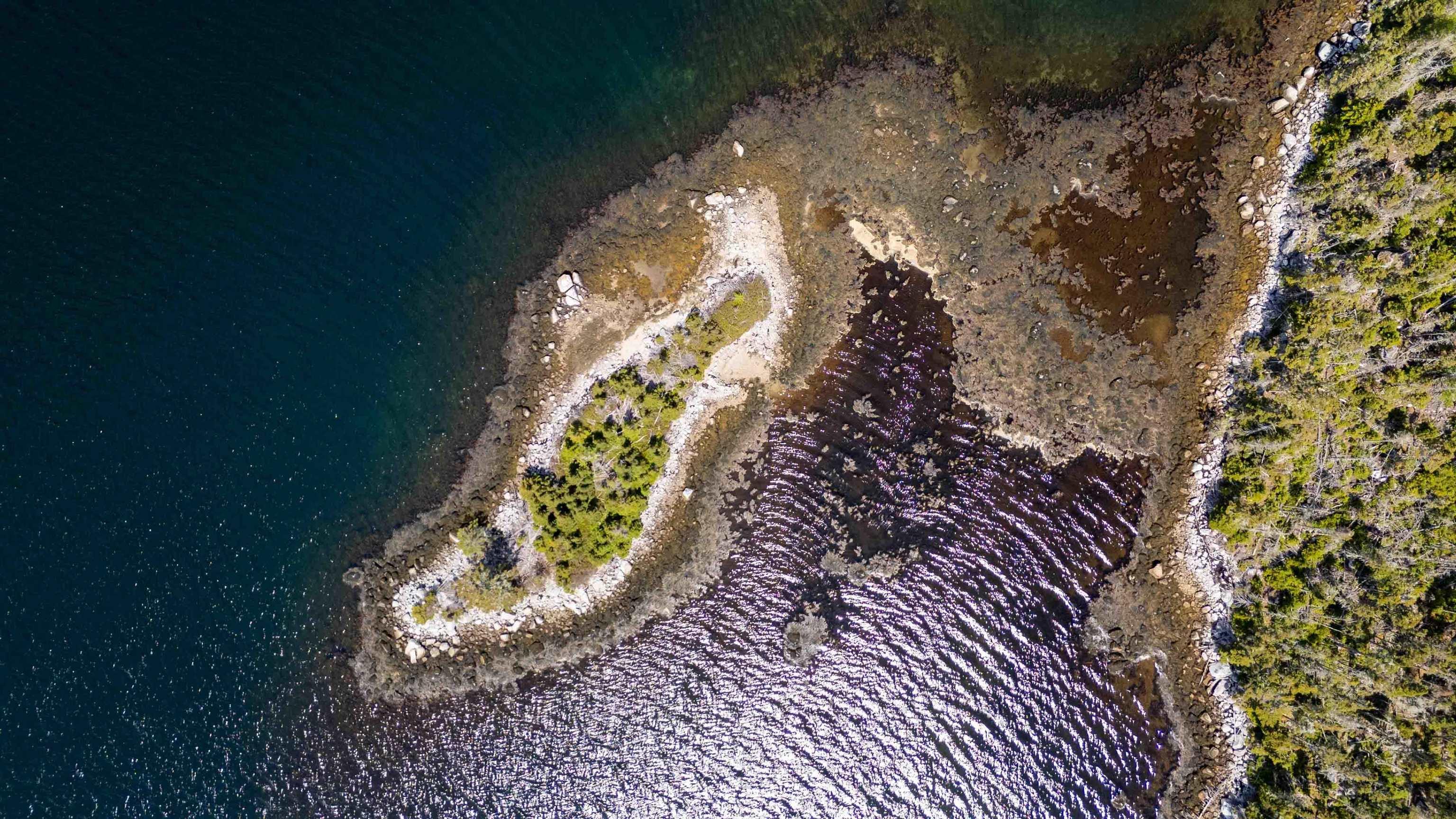 Lot 1 Cochrans Island, Shad Bay, NS (MLS 202614476)