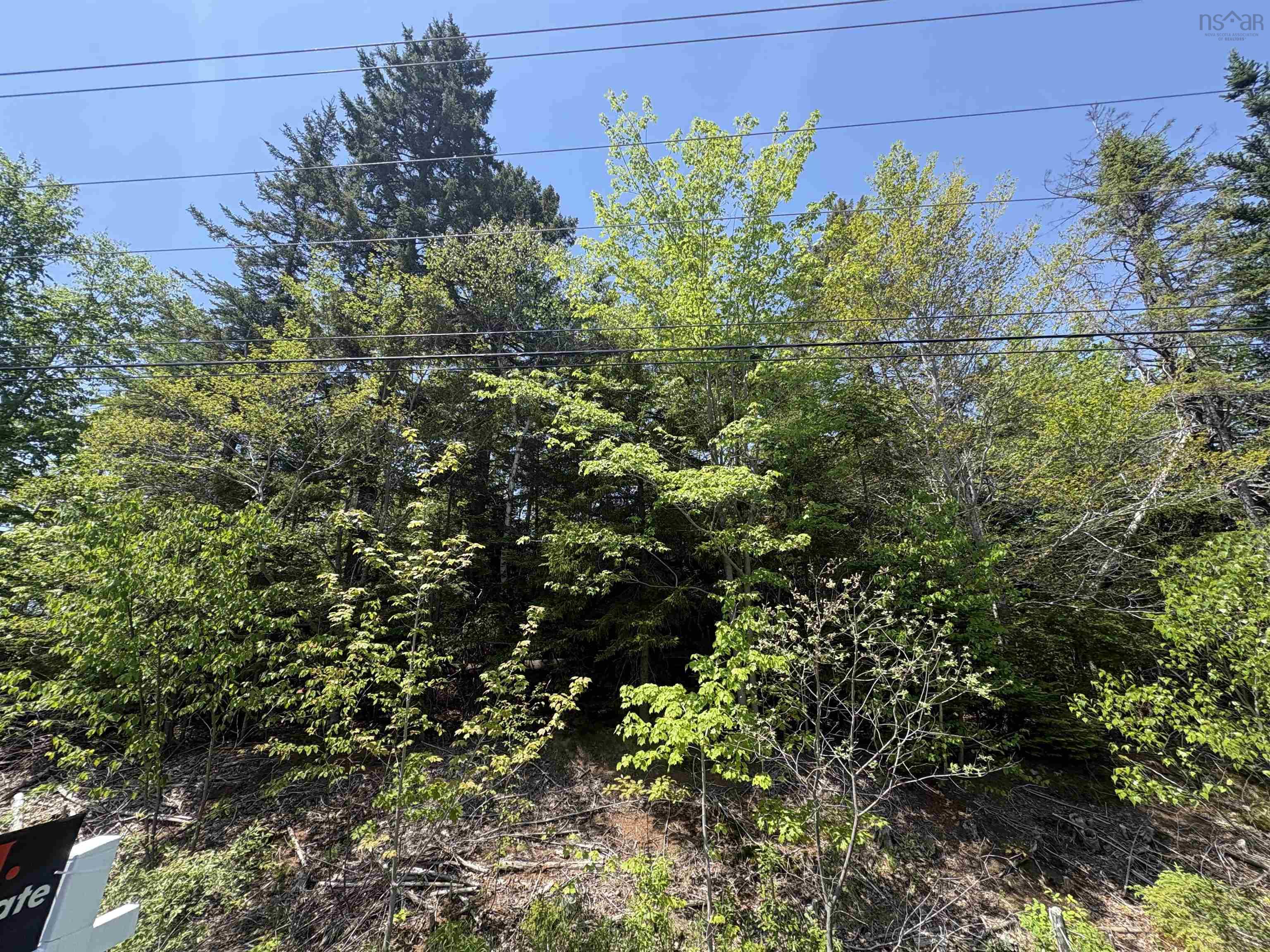 $54,900.00: Lot TJM-1 Highway 354, Gore