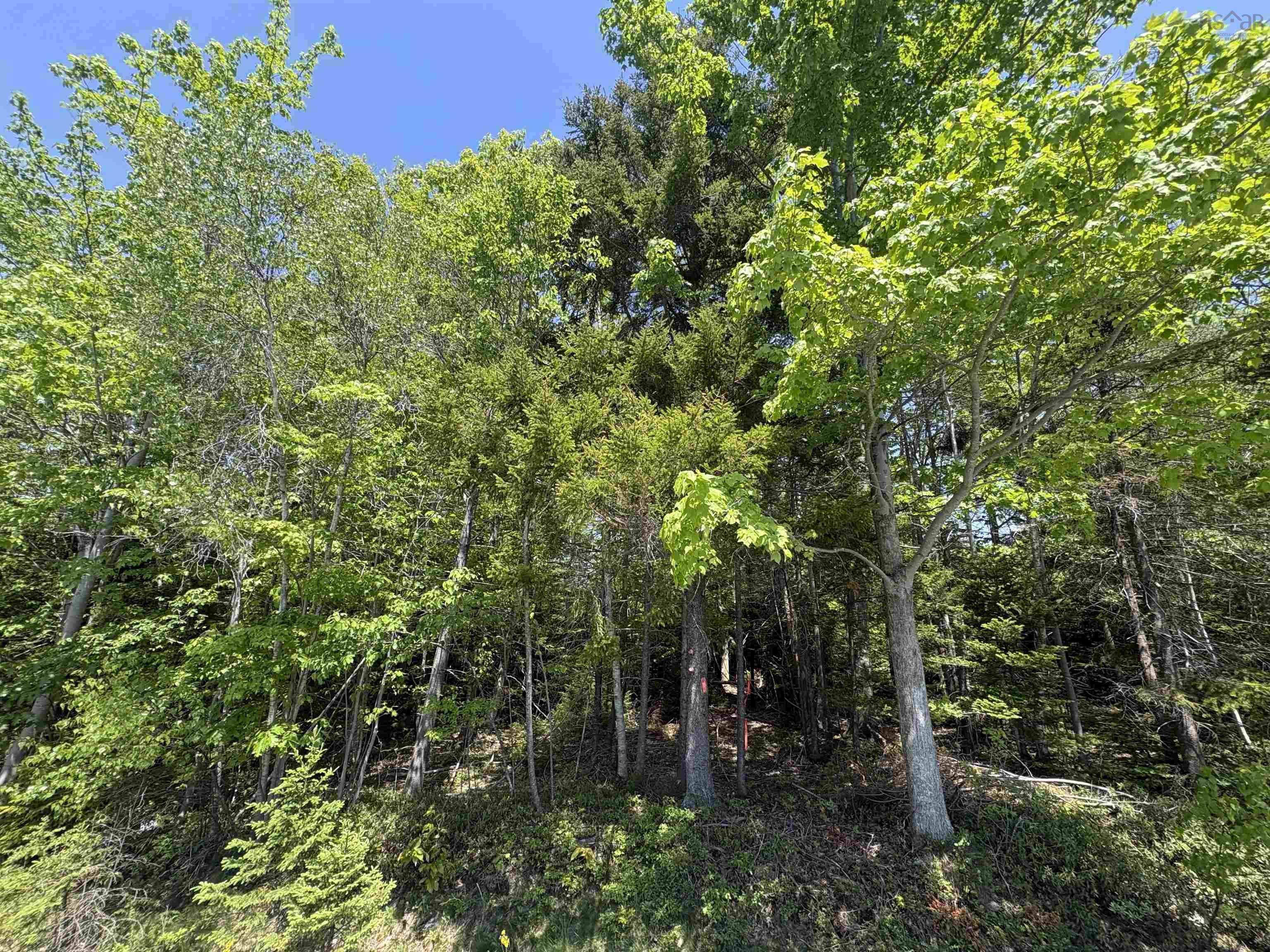 $64,900.00: Lot TJM-3 Highway 354, Gore