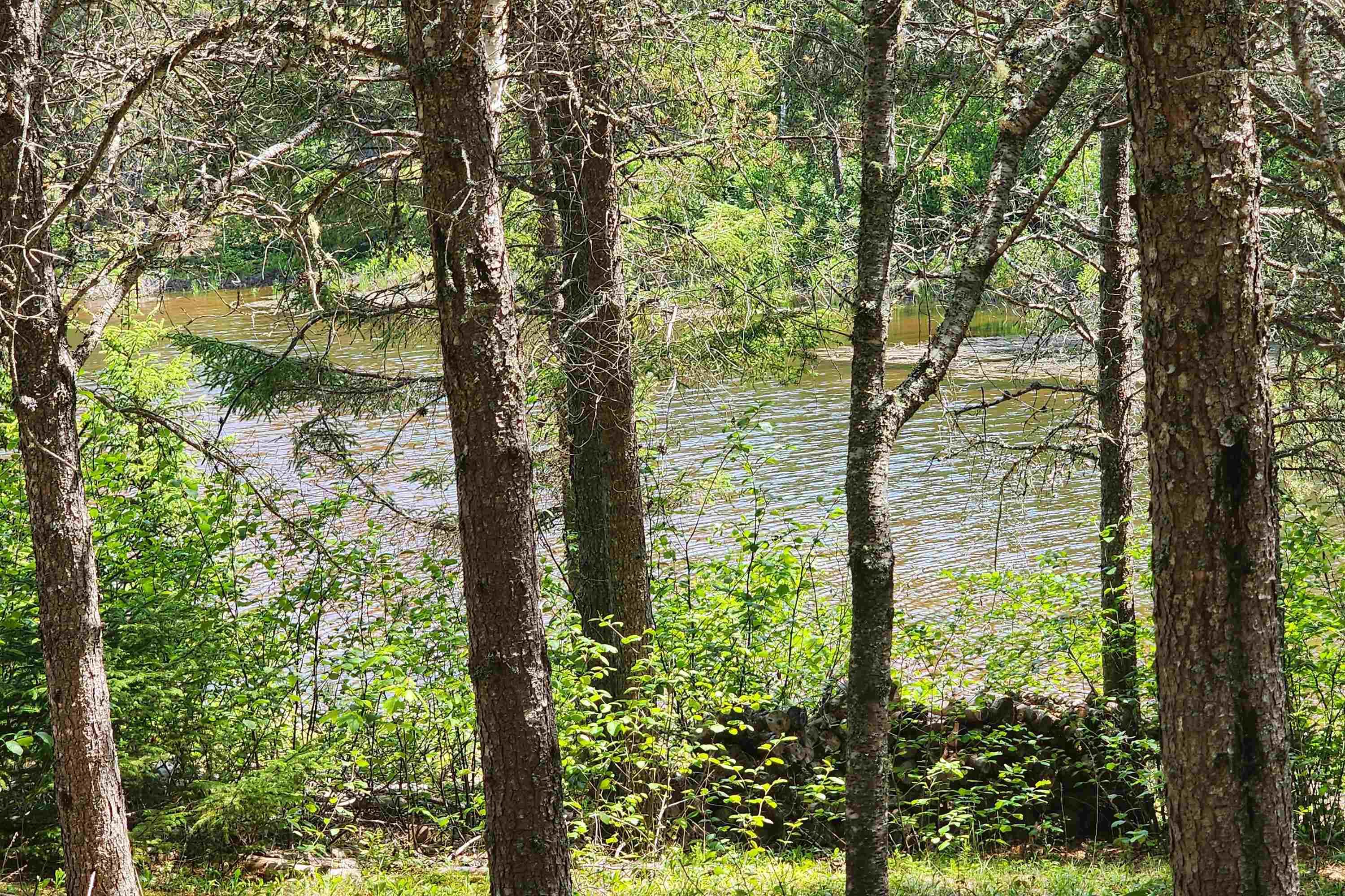 $39,900.00: 342 Reid Settlement Road, Salt Springs