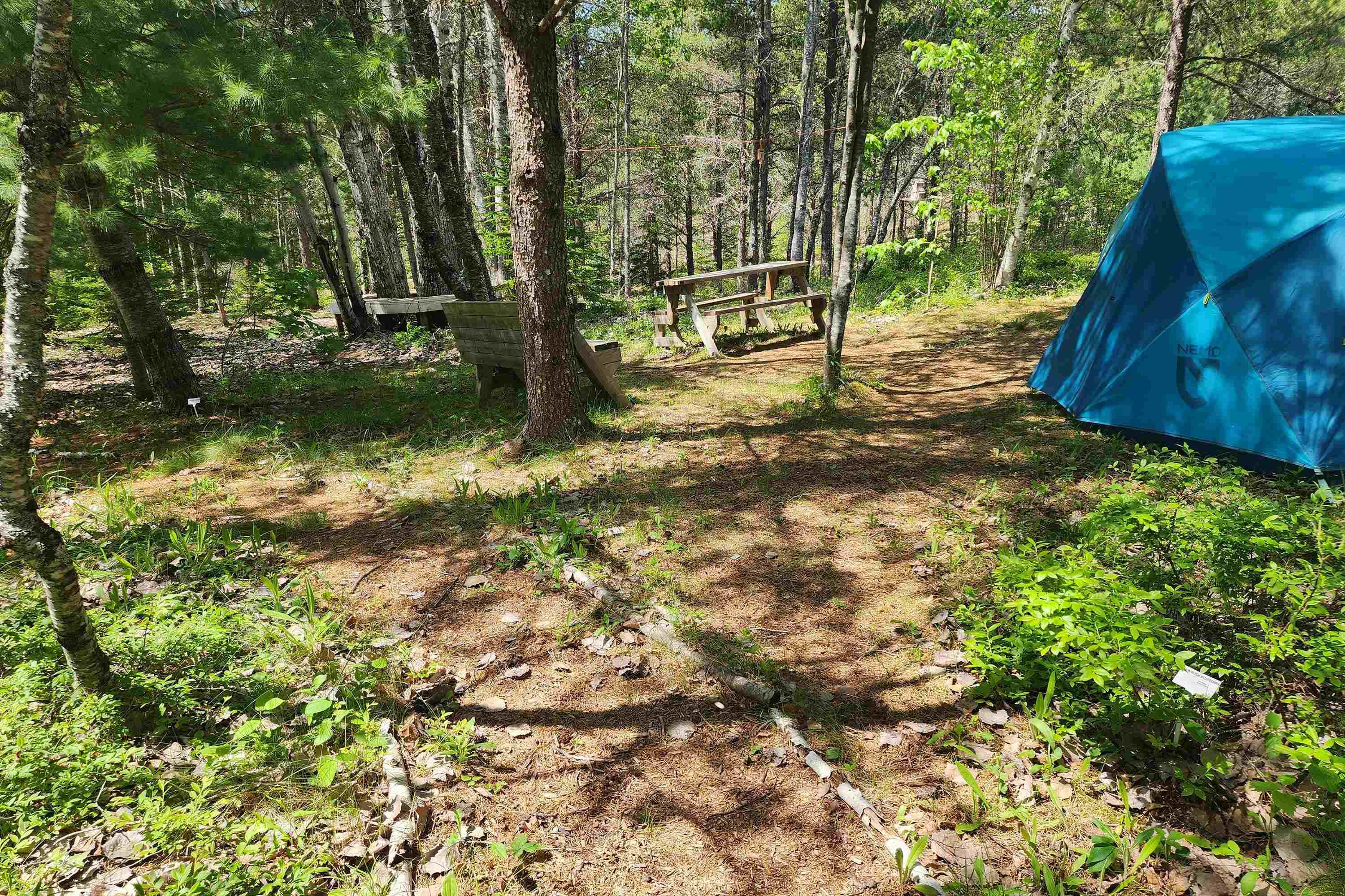 $39,900.00: 342 Reid Settlement Road, Salt Springs