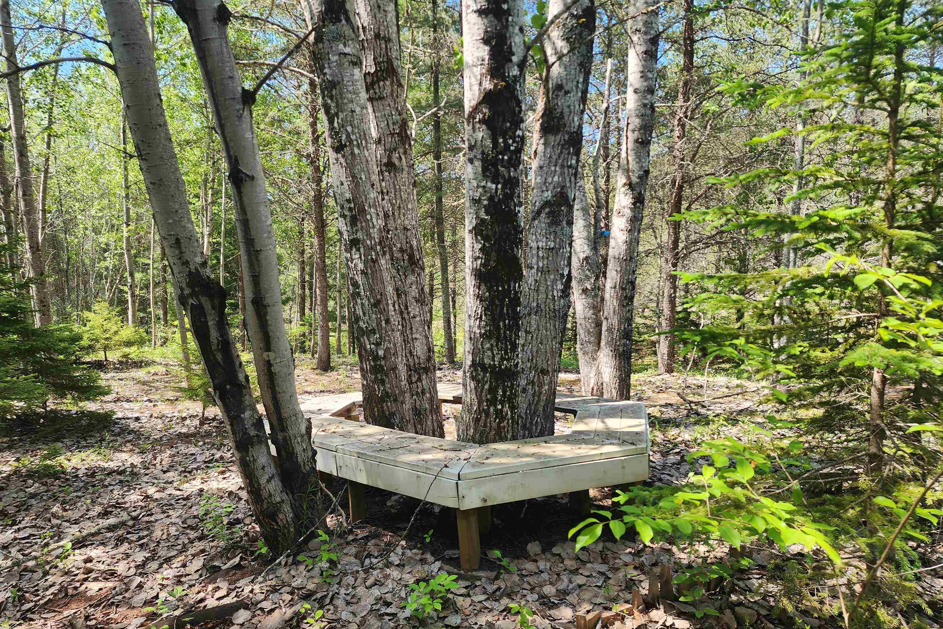 $39,900.00: 342 Reid Settlement Road, Salt Springs