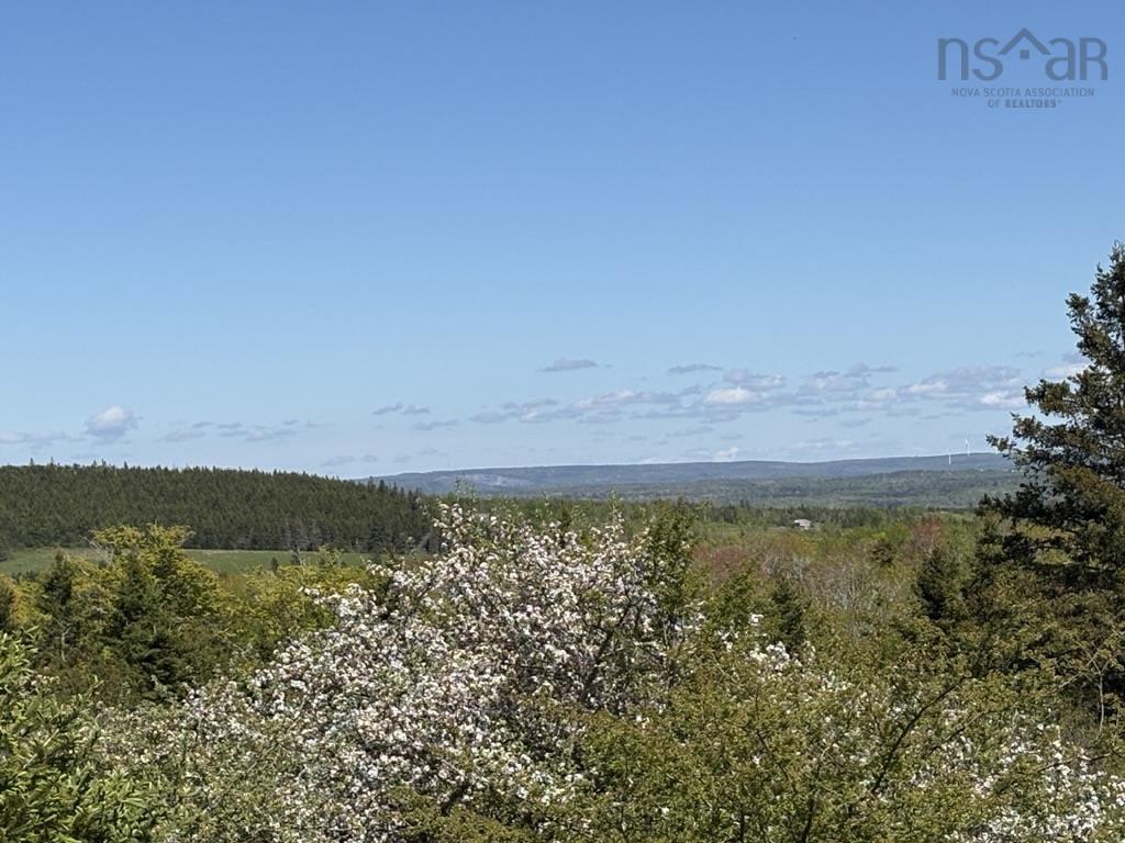 $65,000.00: Lot MacKay Road, Millbrook