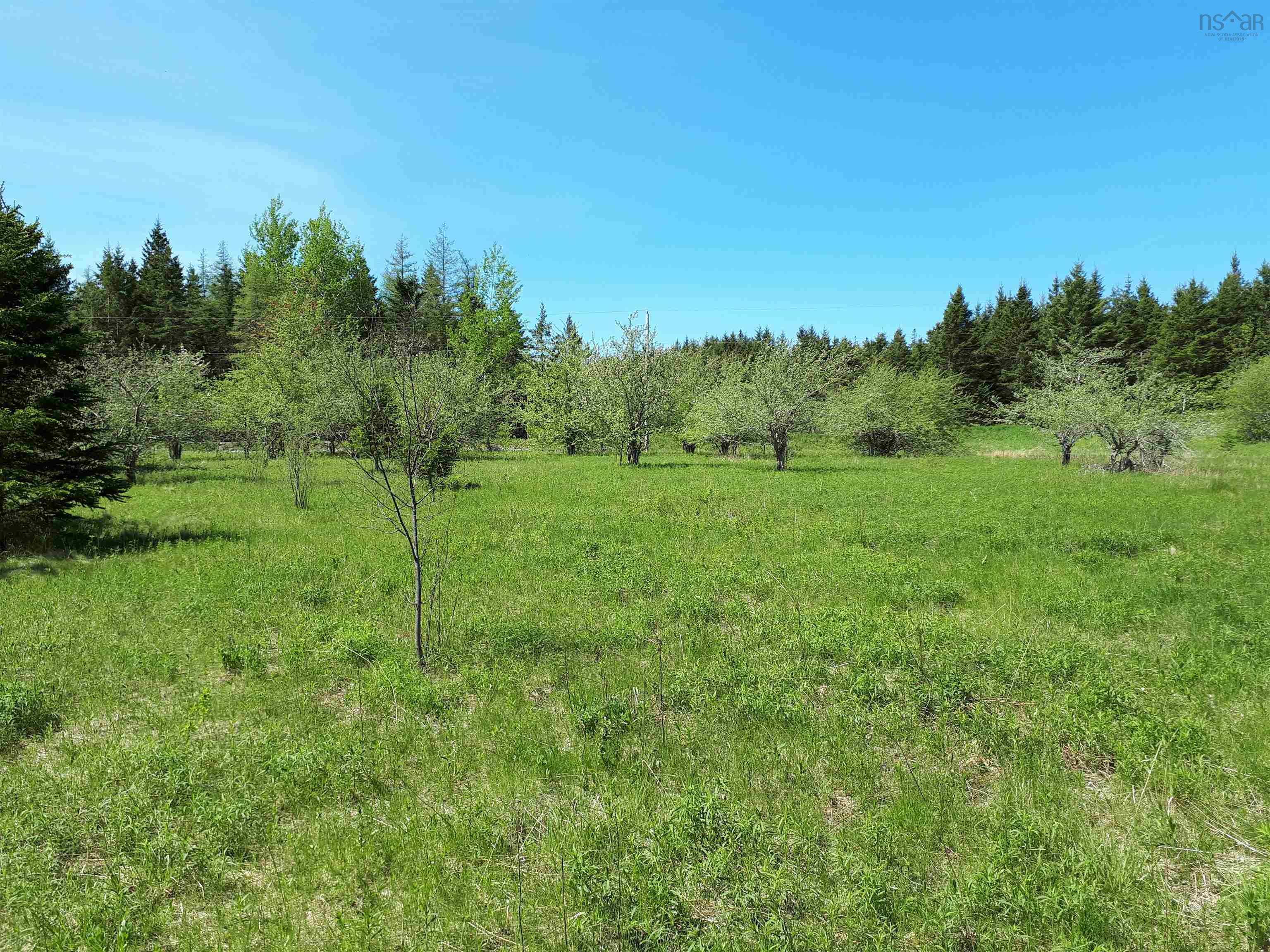 $65,000.00: Lot MacKay Road, Millbrook