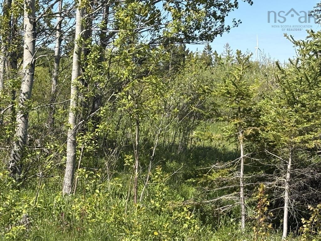 $65,000.00: Lot MacKay Road, Millbrook