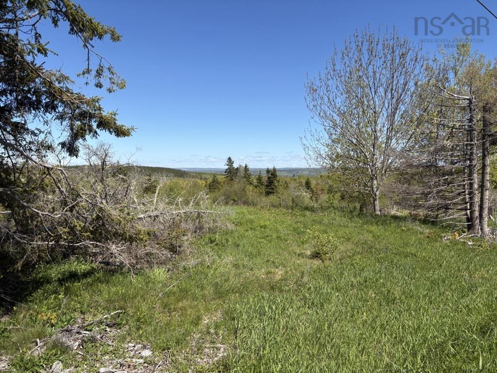 $65,000.00: Lot MacKay Road, Millbrook