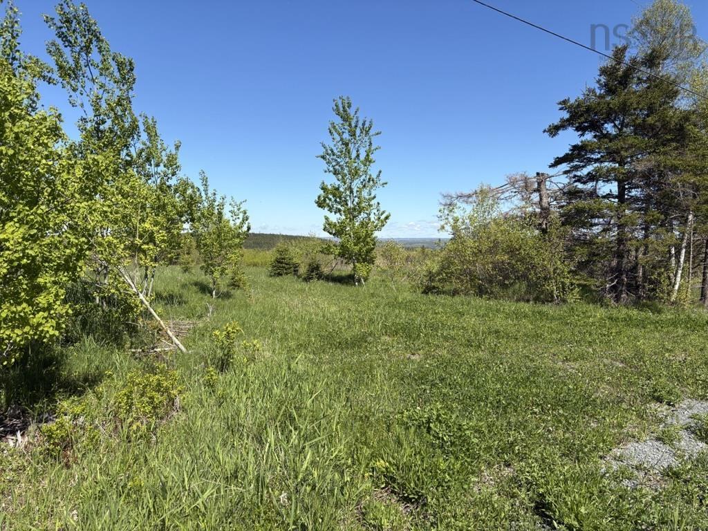 $65,000.00: Lot MacKay Road, Millbrook