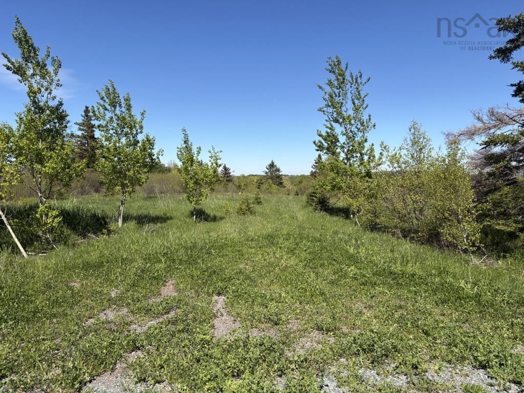 $65,000.00: Lot MacKay Road, Millbrook