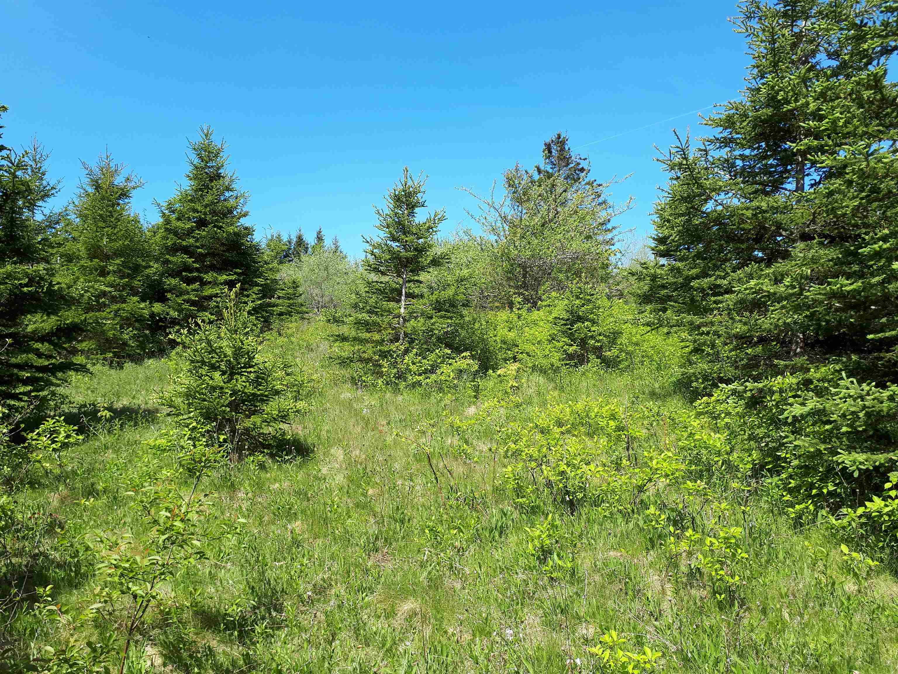 $65,000.00: Lot MacKay Road, Millbrook