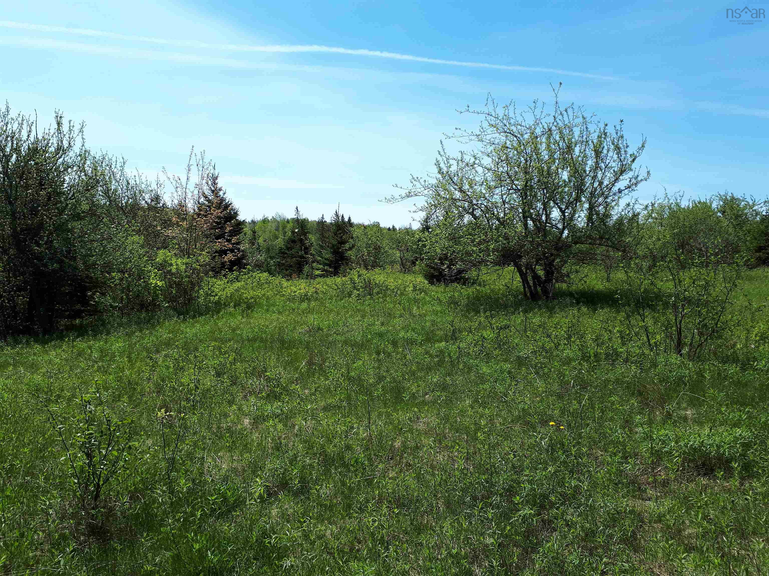 $65,000.00: Lot MacKay Road, Millbrook