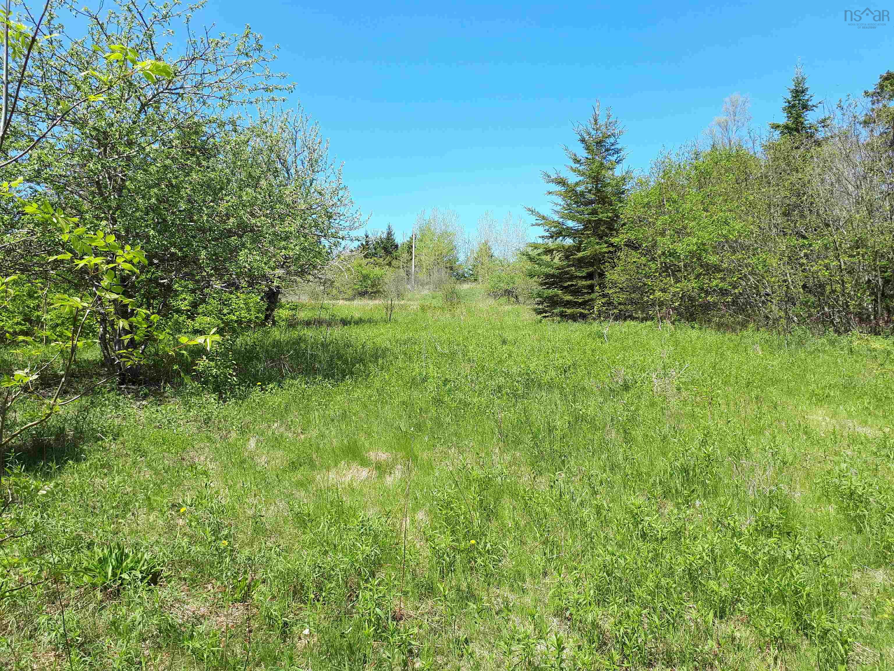 $65,000.00: Lot MacKay Road, Millbrook