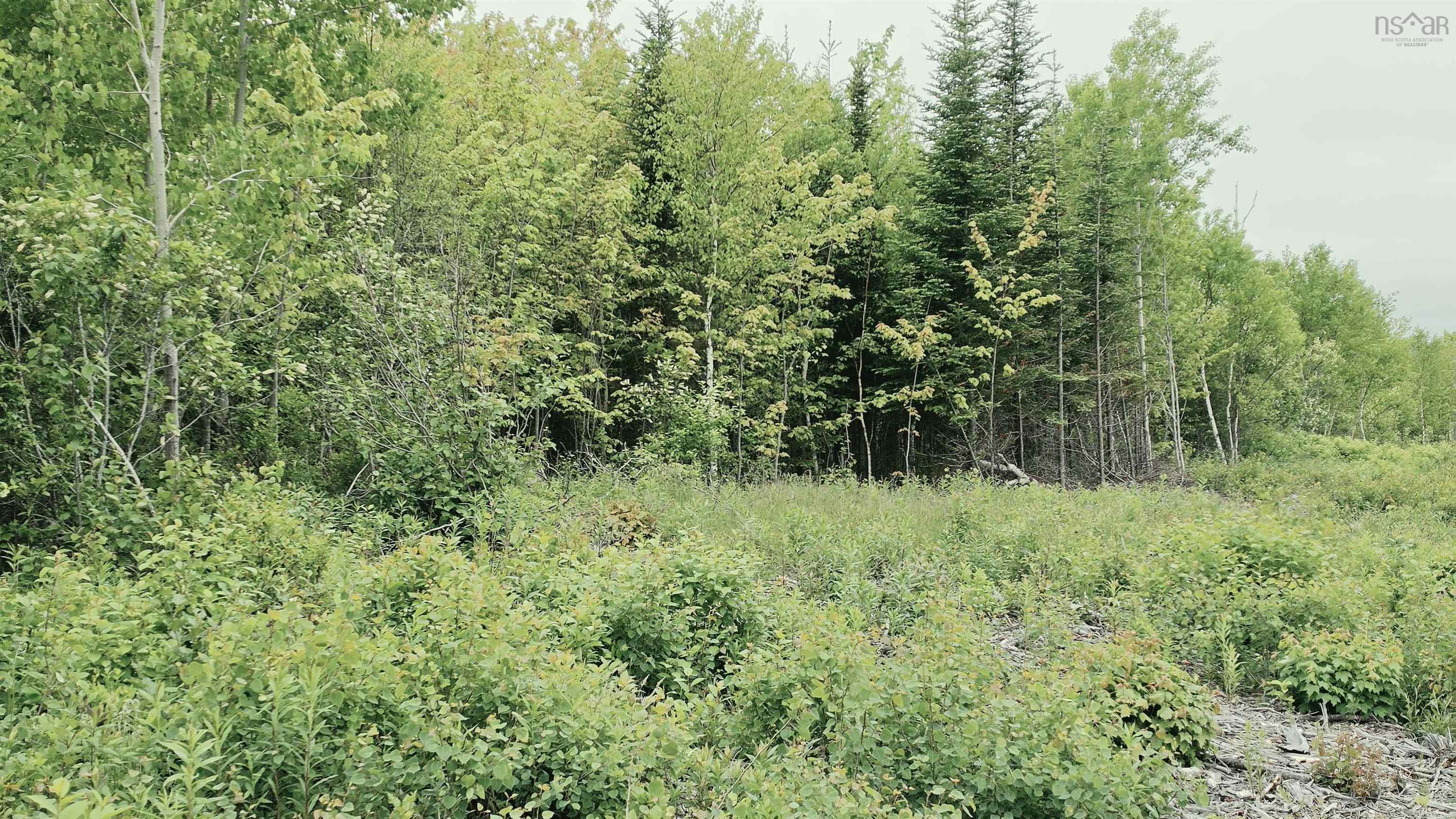 $50,000.00: Lot Linwood Harbour Rd East Tracadie, NS, East Tracadie