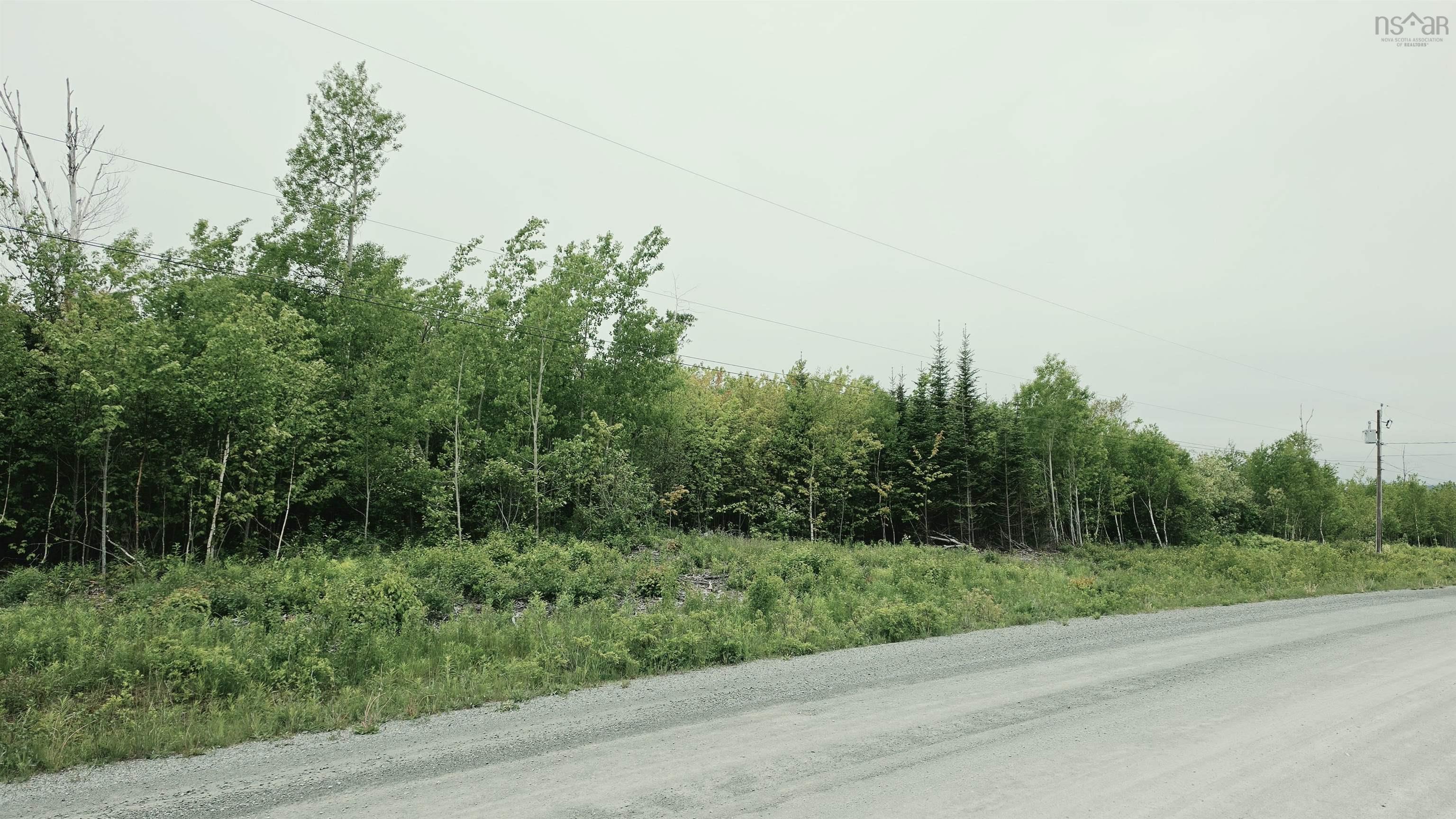 $50,000.00: Lot Linwood Harbour Rd East Tracadie, NS, East Tracadie