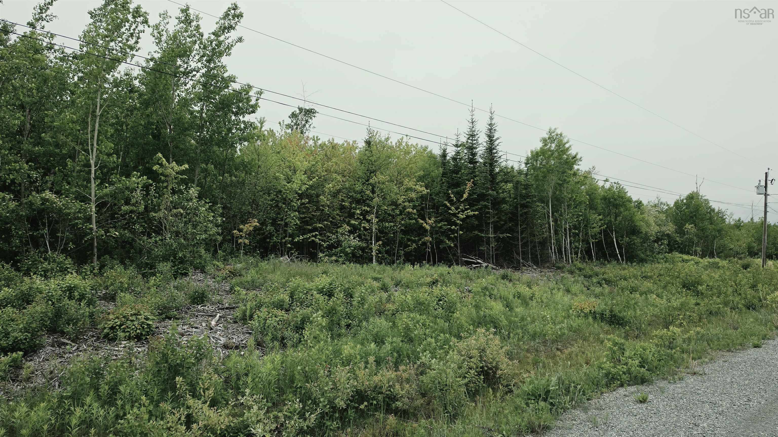 $50,000.00: Lot Linwood Harbour Rd East Tracadie, NS, East Tracadie
