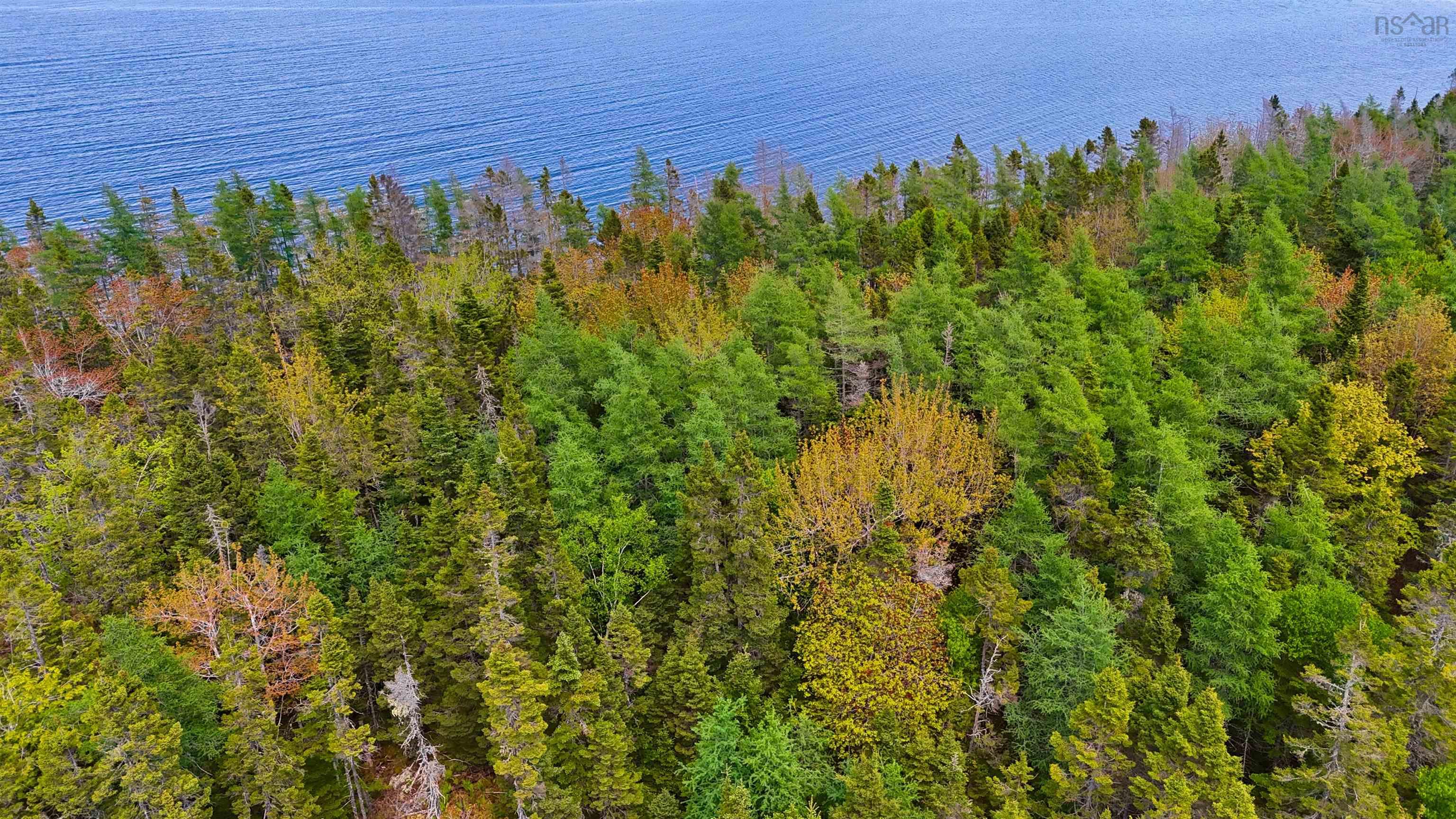 $124,900.00: Lot 1A-40 Maple Drive, Cape George Estates