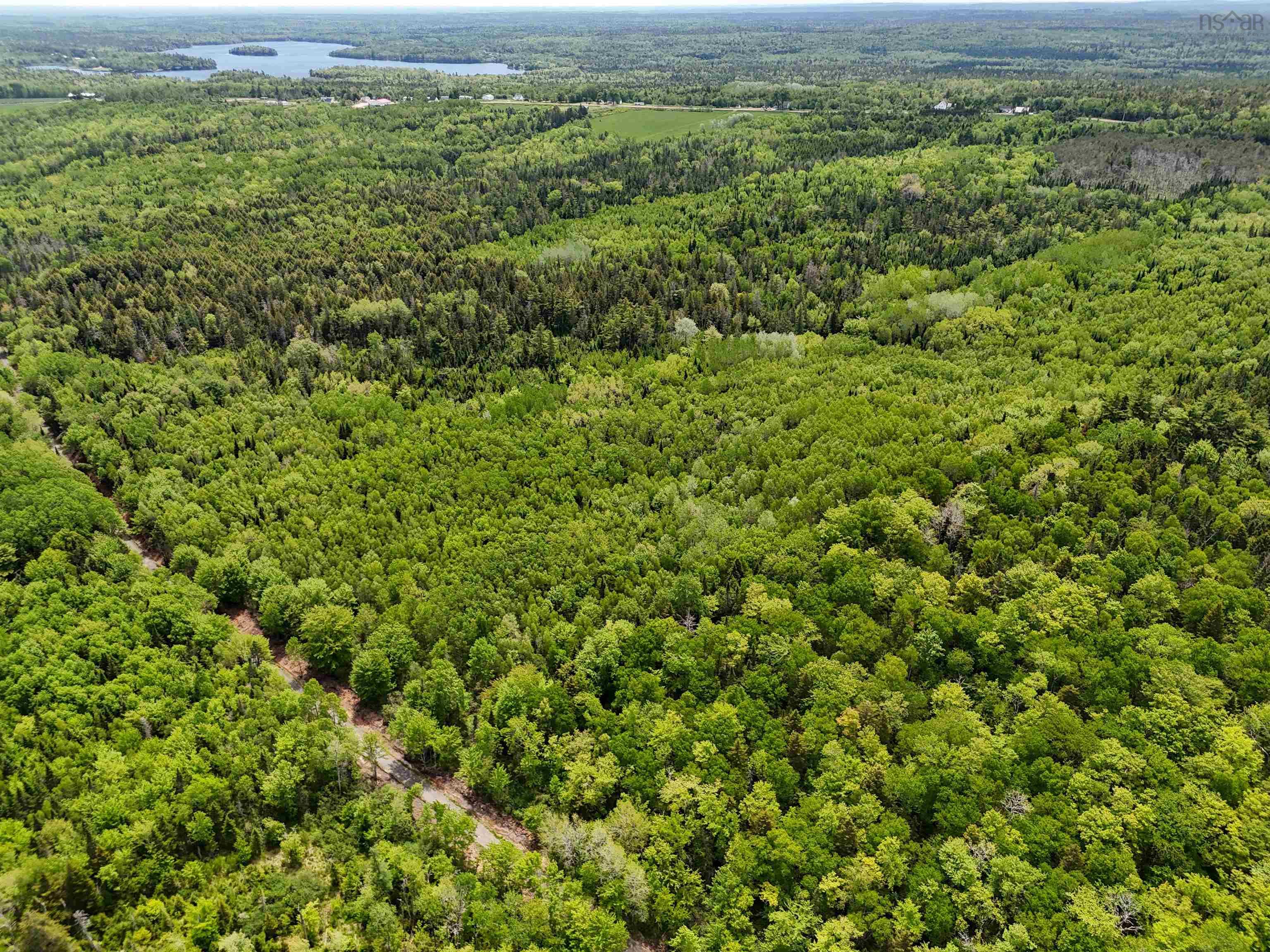 $85,000.00: 1210 Highway 10, Springfield