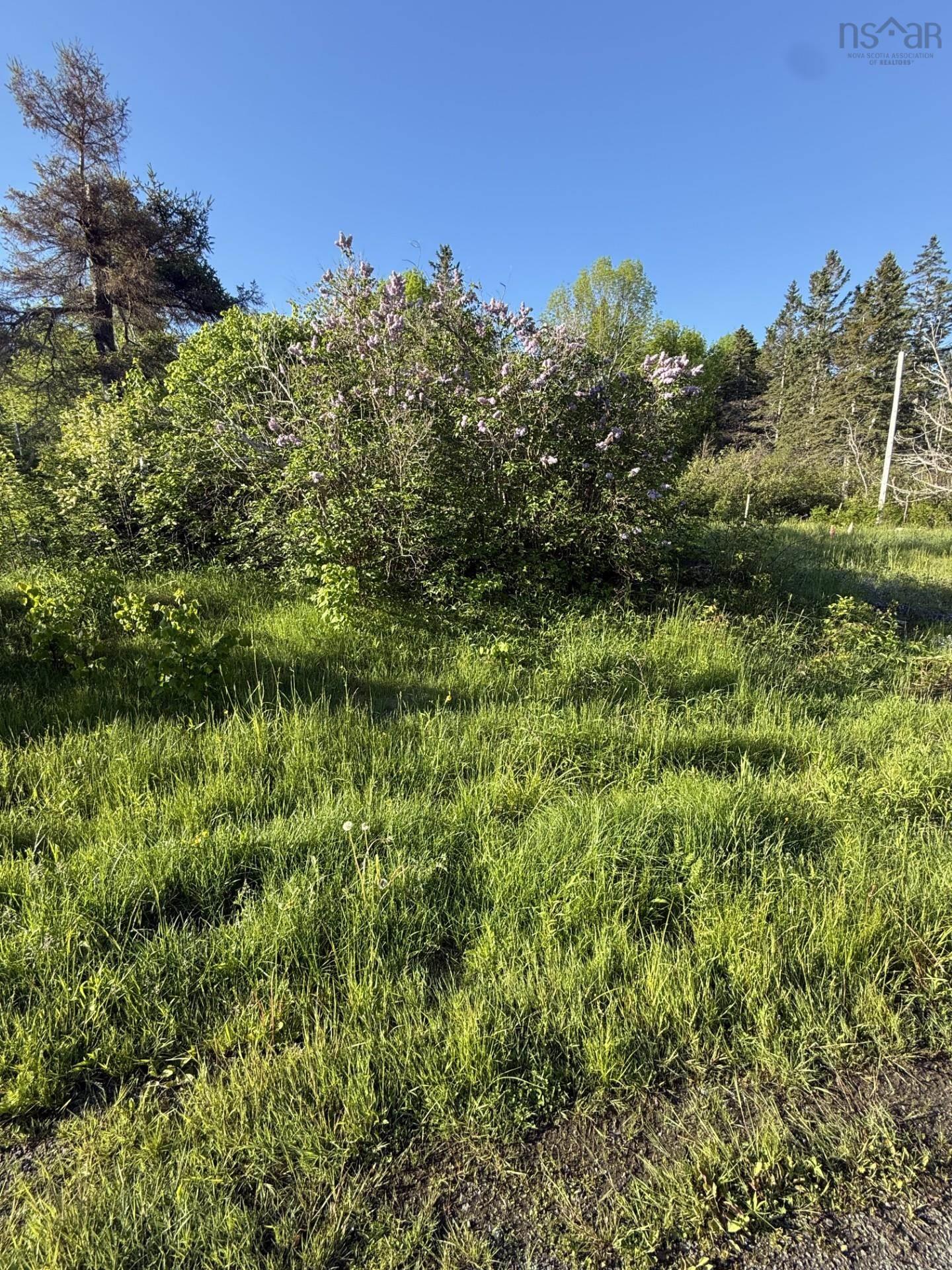 $299,000.00: 21 acres JIMTOWN ROAD, ANTIGONISH HARBOUR, N.S., Antigonish Harbour