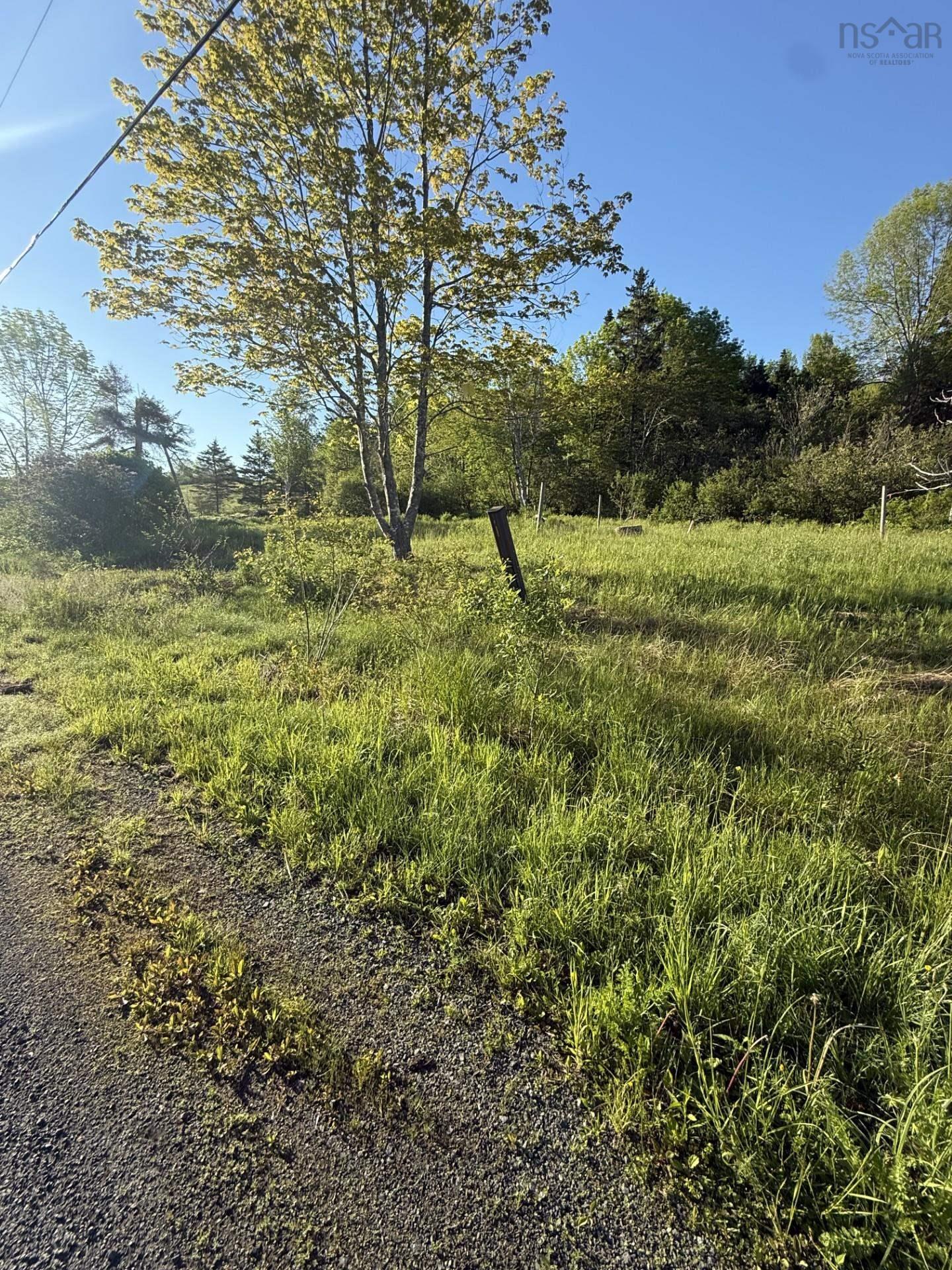 $299,000.00: 21 acres JIMTOWN ROAD, ANTIGONISH HARBOUR, N.S., Antigonish Harbour