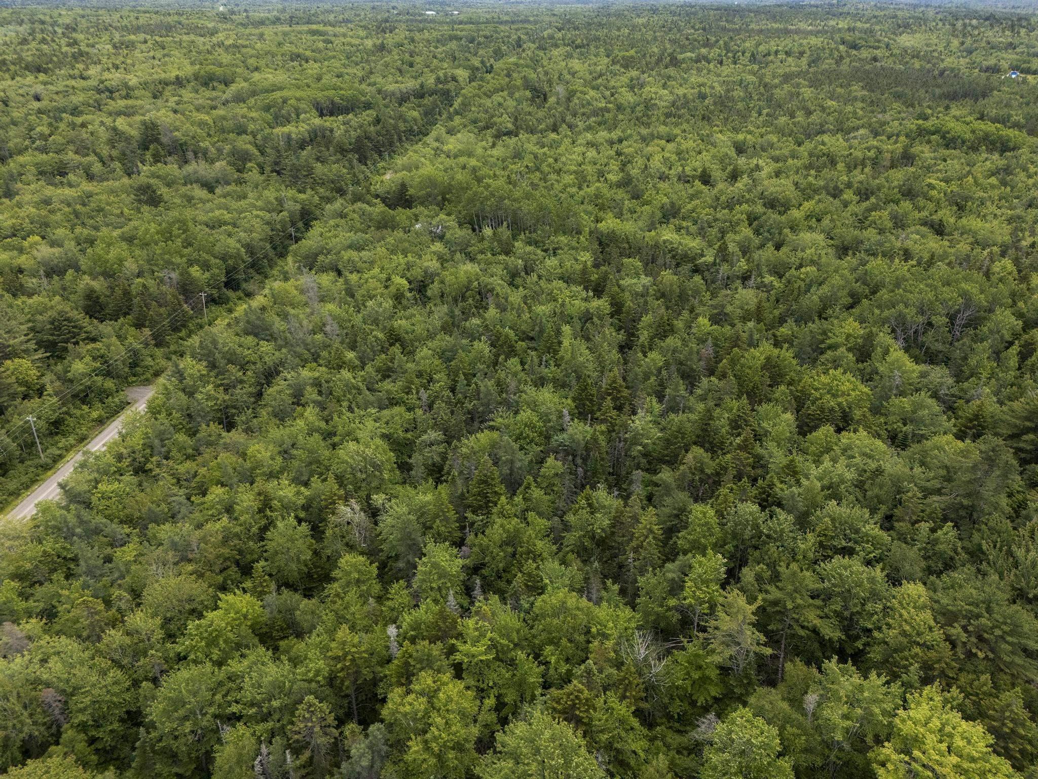 $20,000.00: Lot 6 Old Yarmouth Road, Weymouth Falls