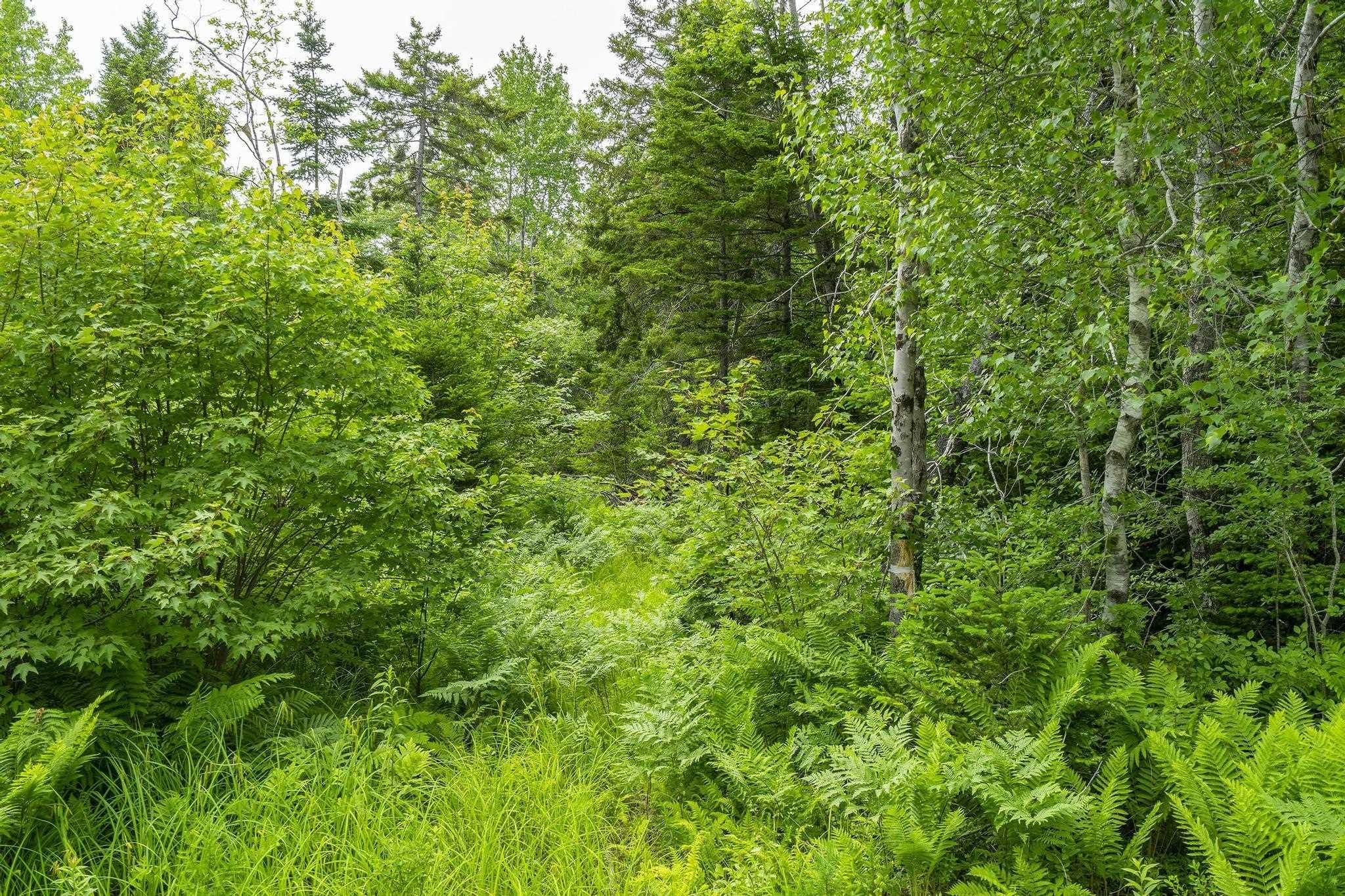 $20,000.00: Lot 6 Old Yarmouth Road, Weymouth Falls