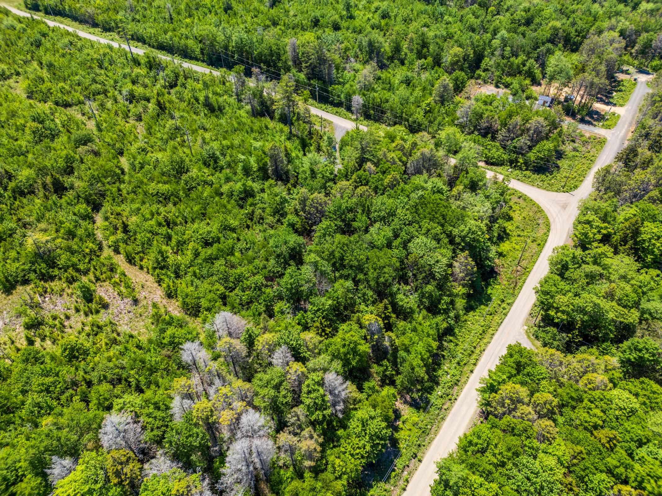 $70,000.00: Lot 10 Timberland Trail, South Range