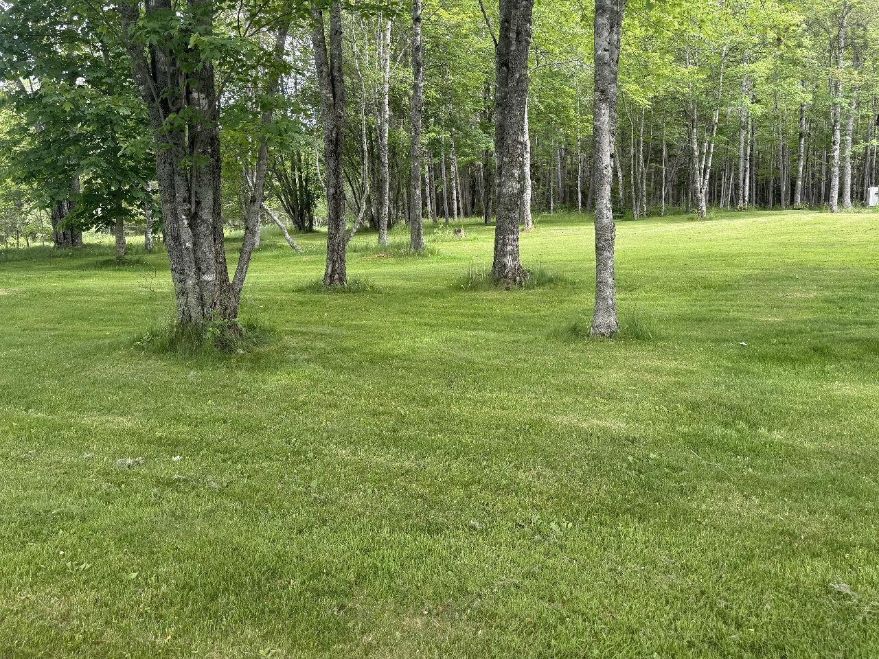 $599,900.00: 9041 14 Highway, Hardwood Lands