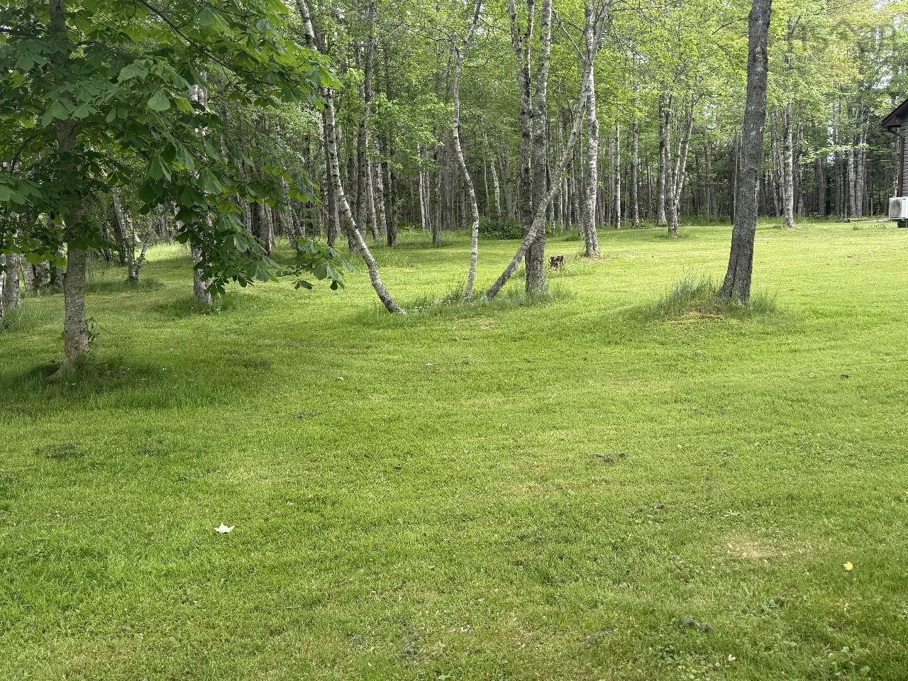 $599,900.00: 9041 14 Highway, Hardwood Lands