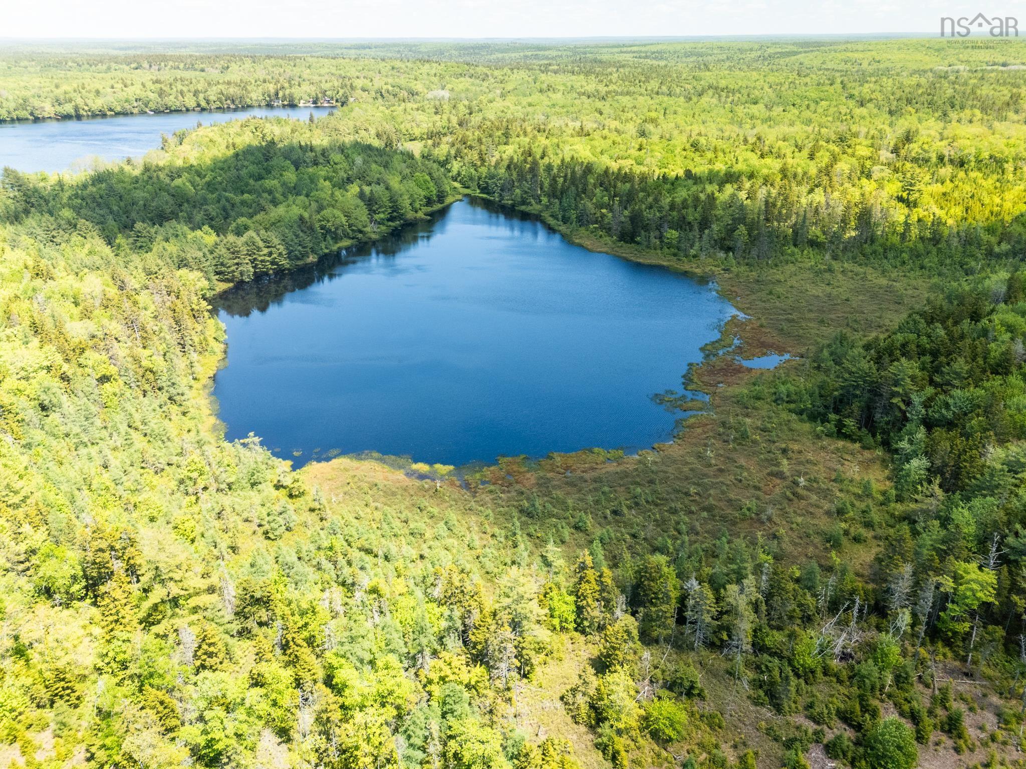 $100,000.00: Lots, Third Lake Point Road, Briar Lake