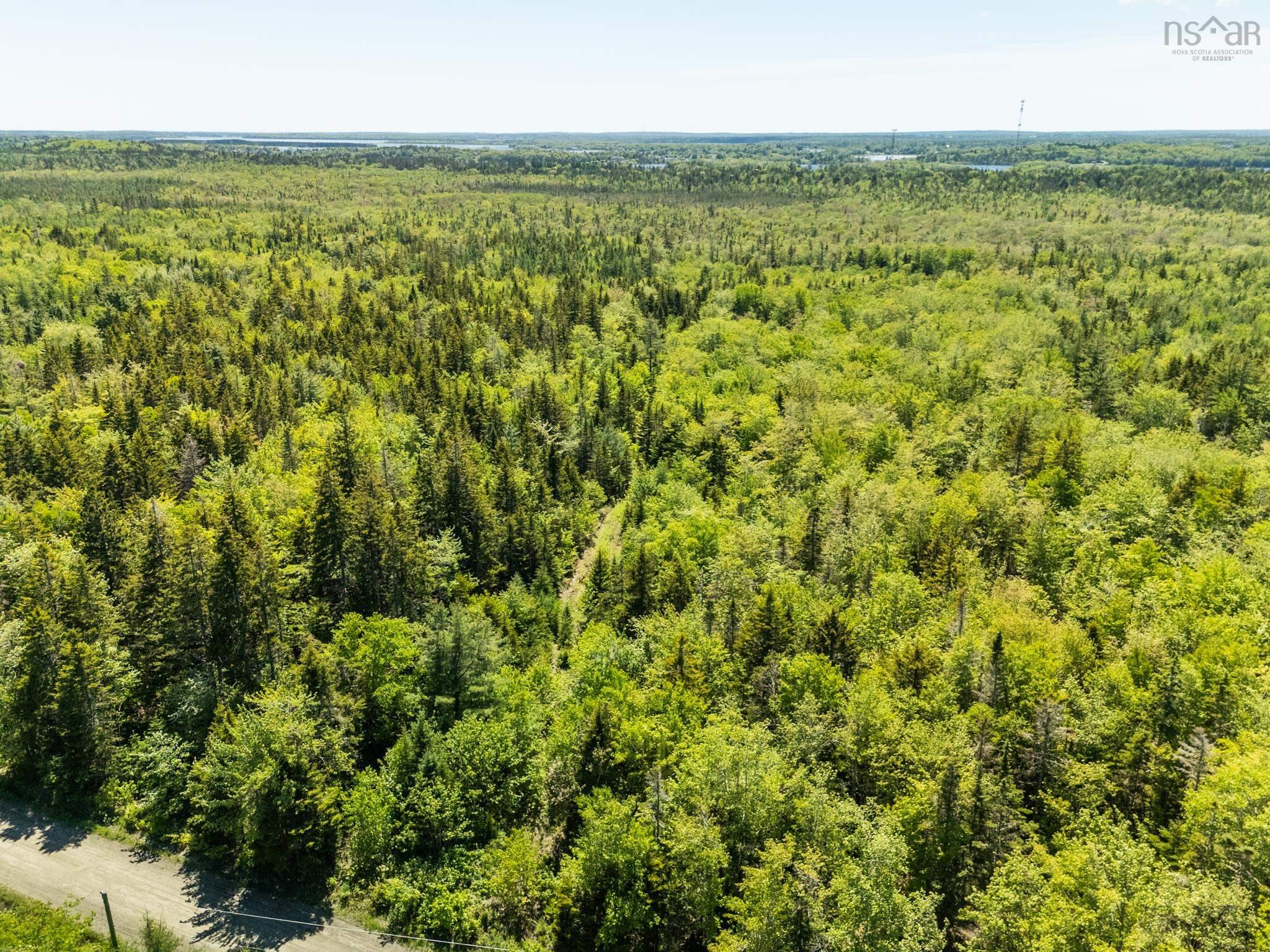 $40,000.00: Lots, Belleville Road, Belleville South
