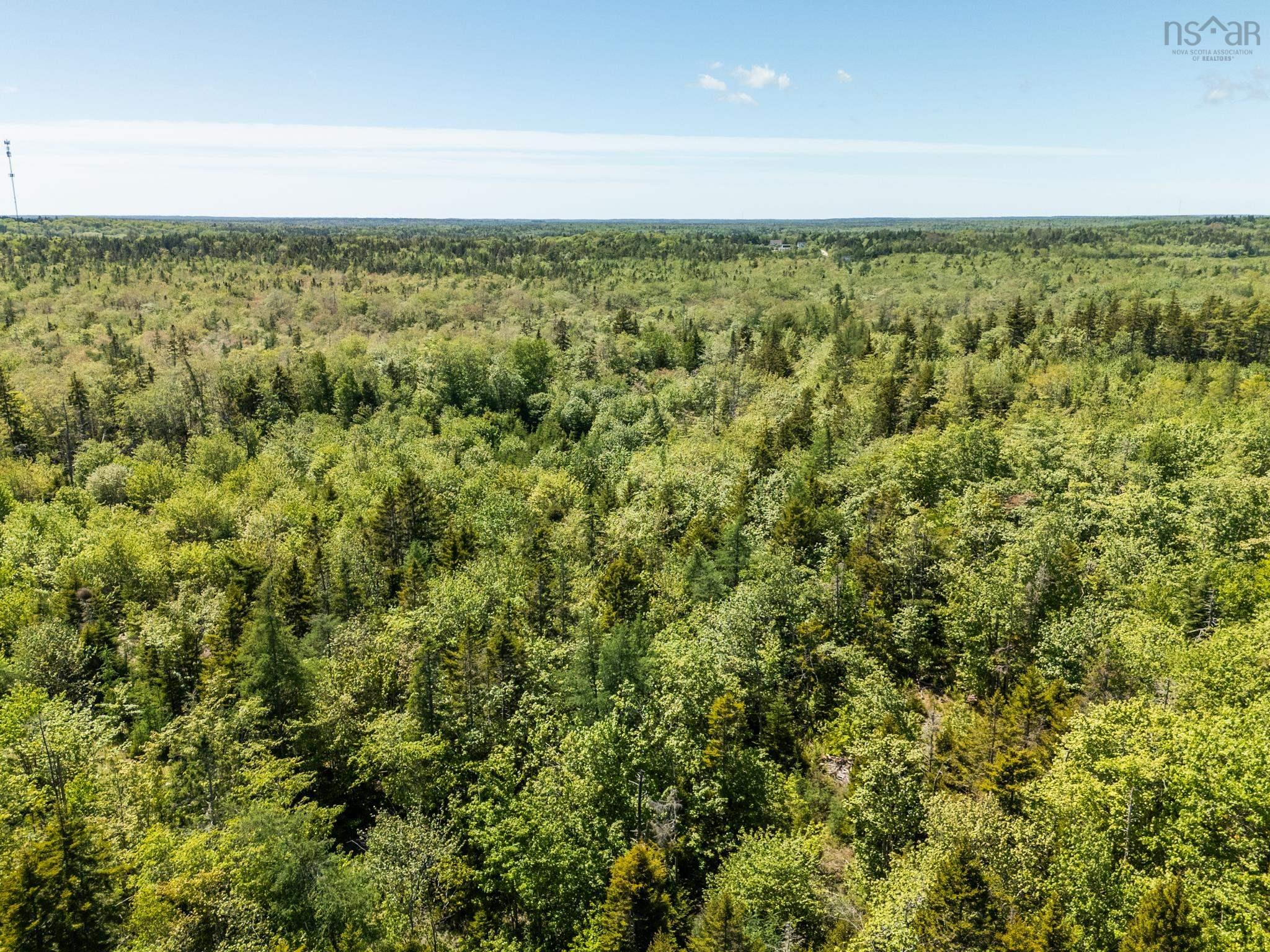 $40,000.00: Lots, Belleville Road, Belleville South