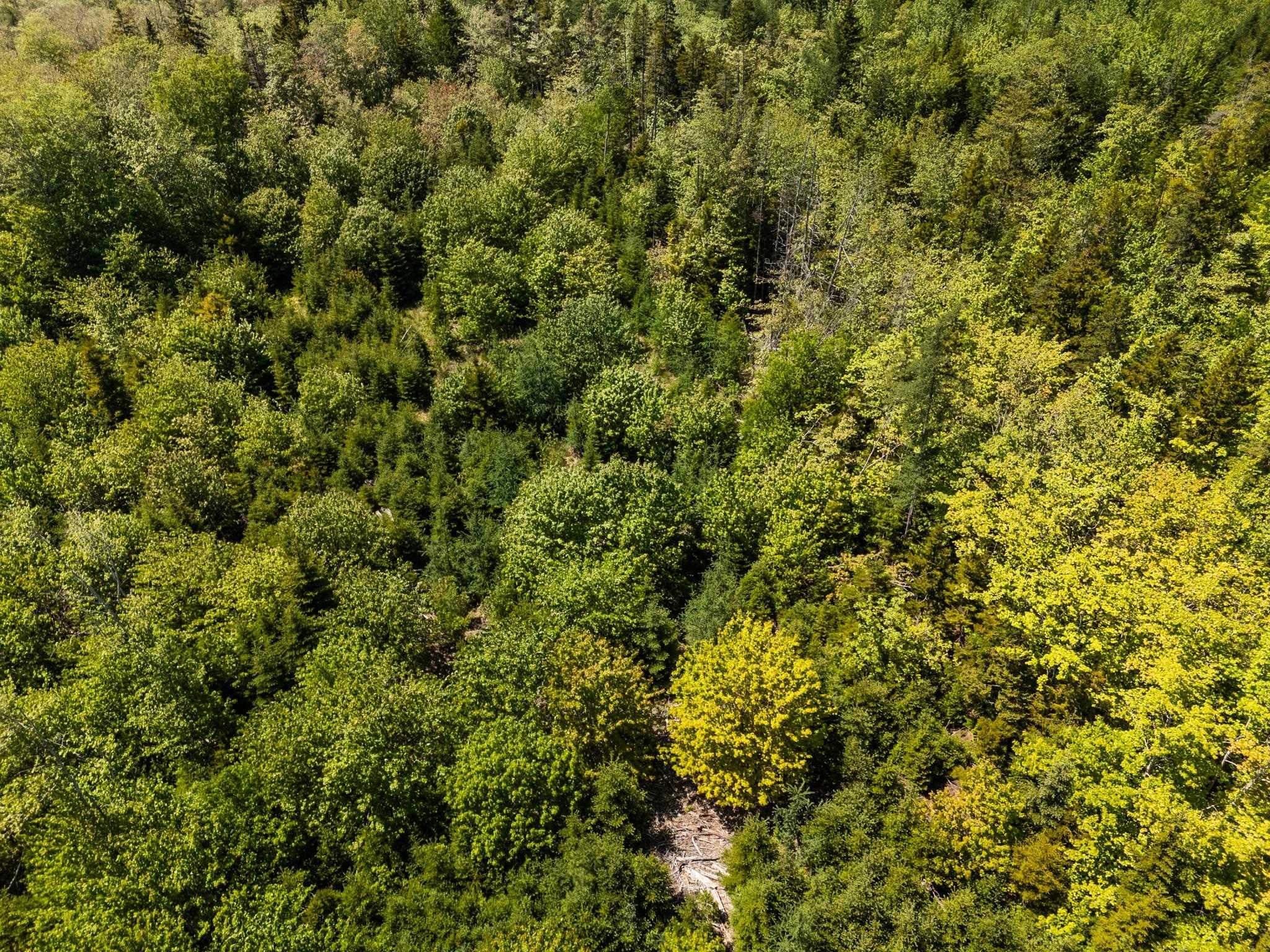 $40,000.00: Lots, Belleville Road, Belleville South
