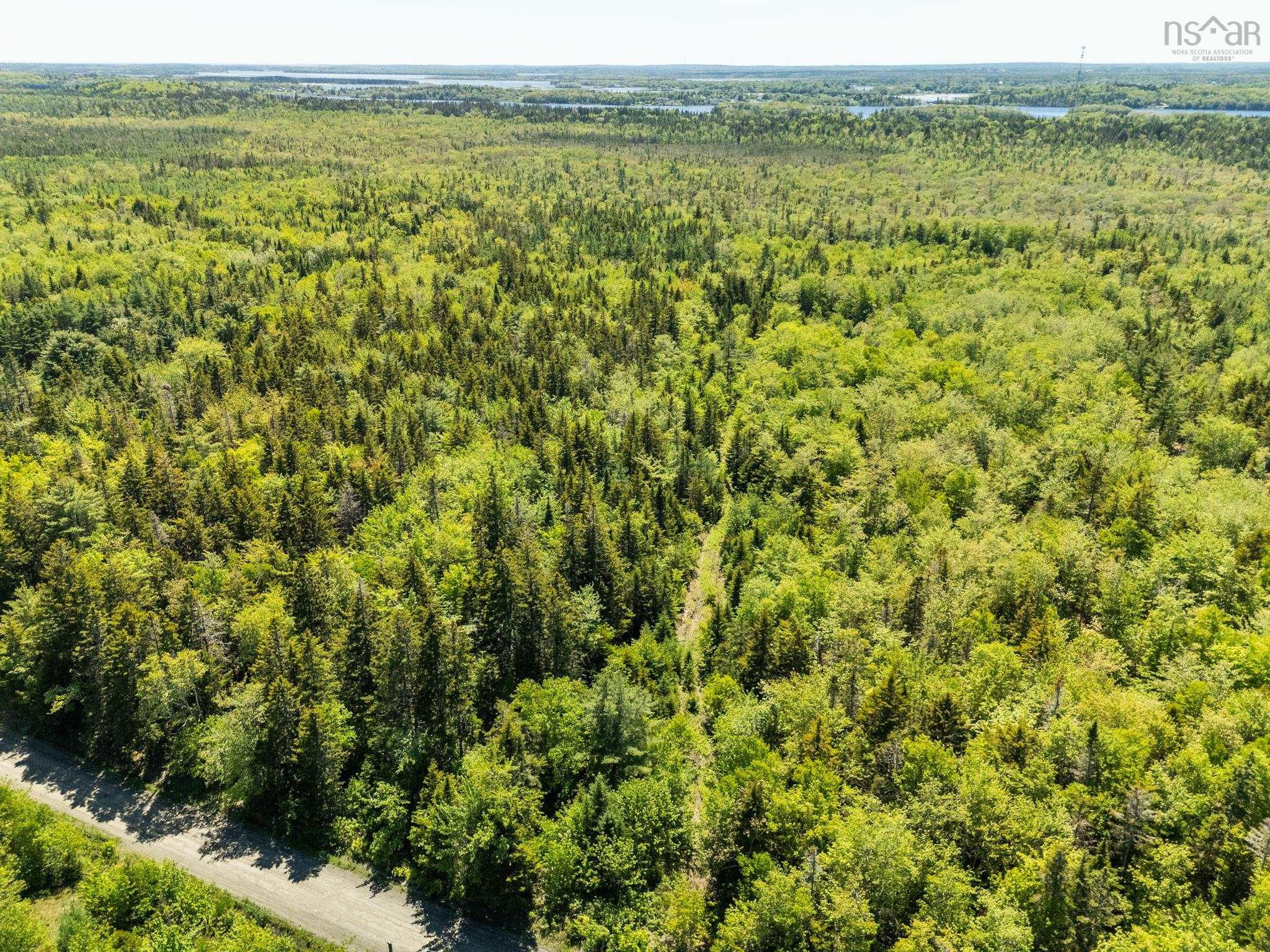 $40,000.00: Lots, Belleville Road, Belleville South