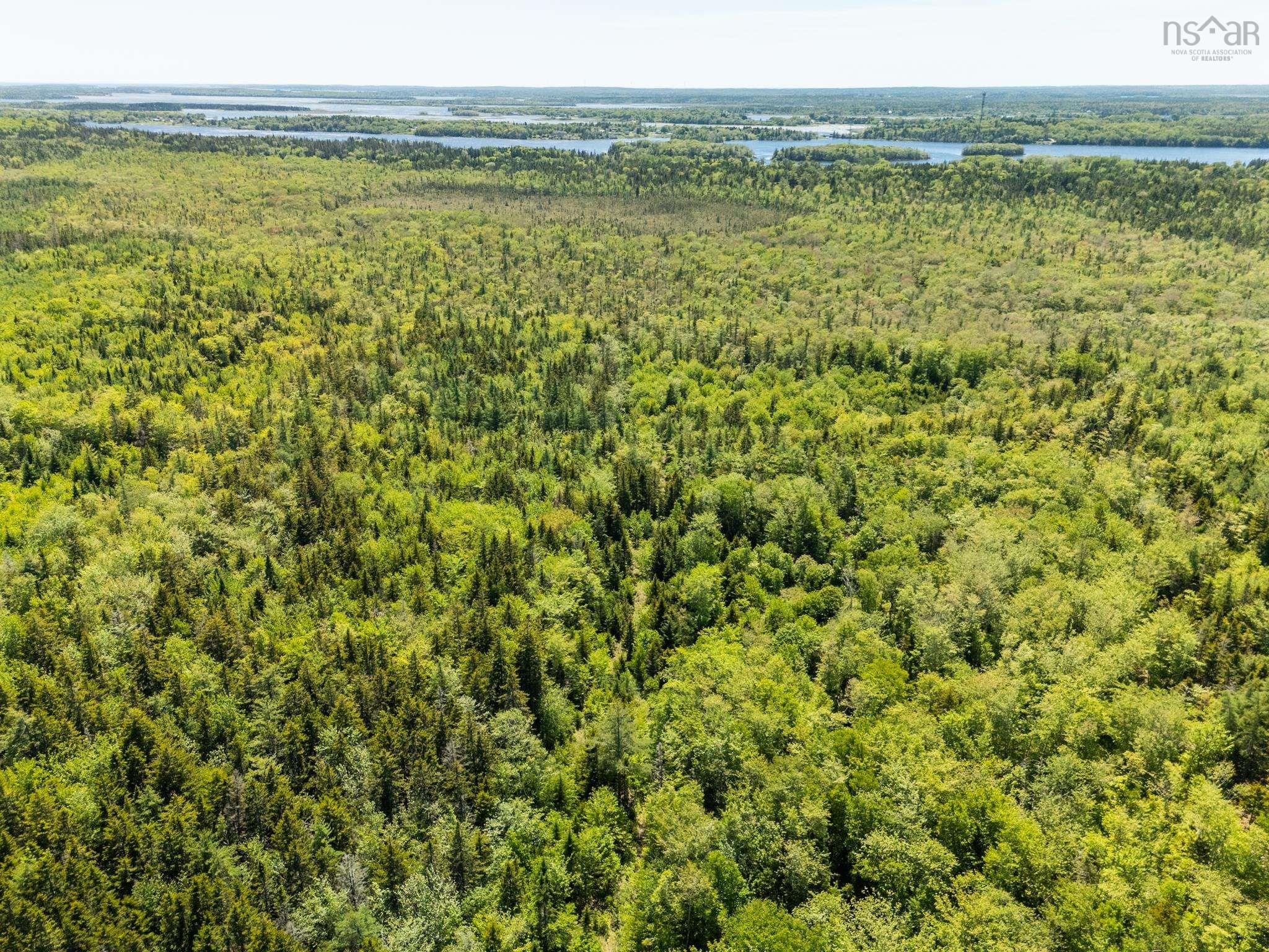 $40,000.00: Lots, Belleville Road, Belleville South