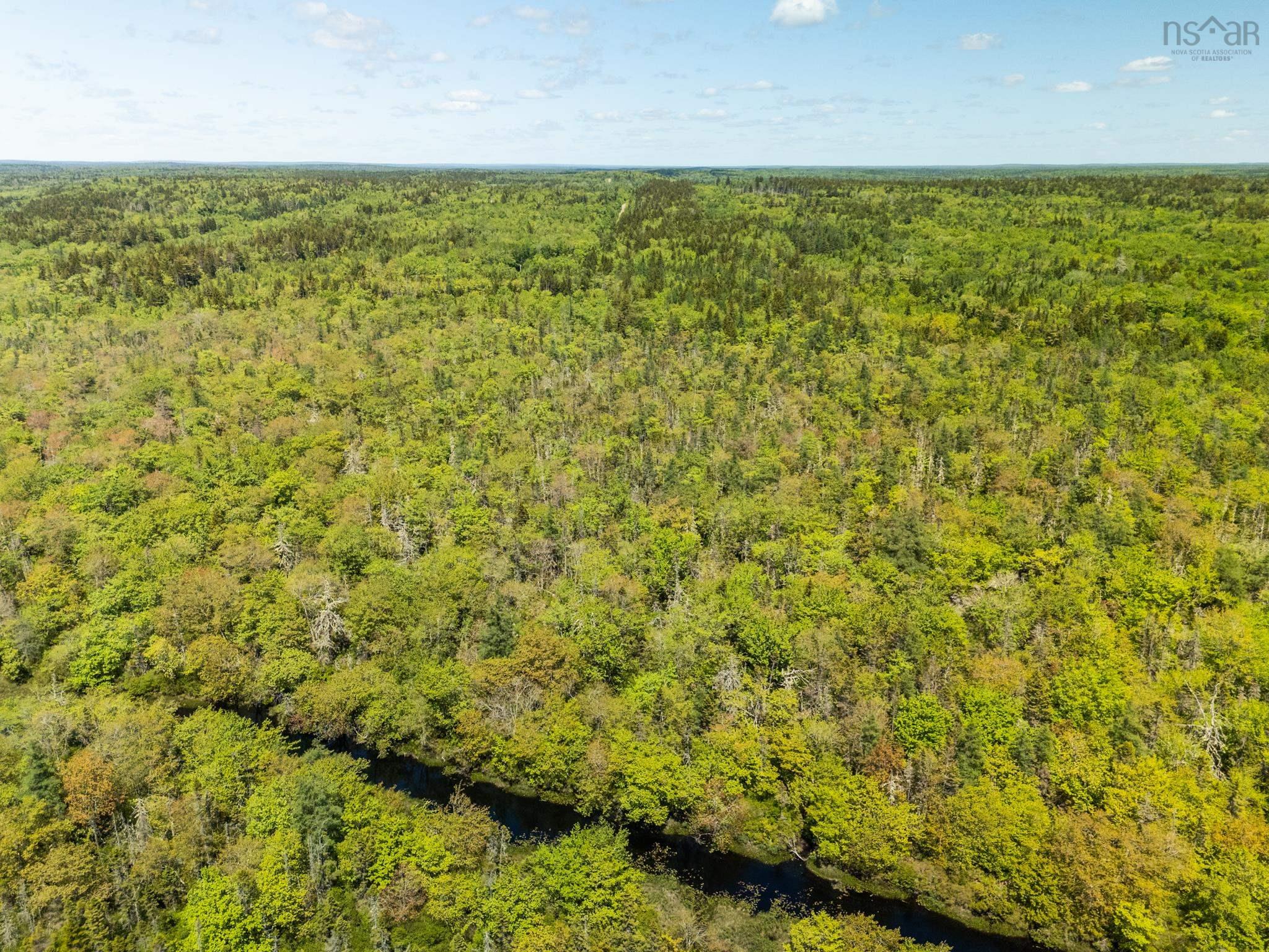 $40,000.00: Lots, Belleville Road, Belleville South
