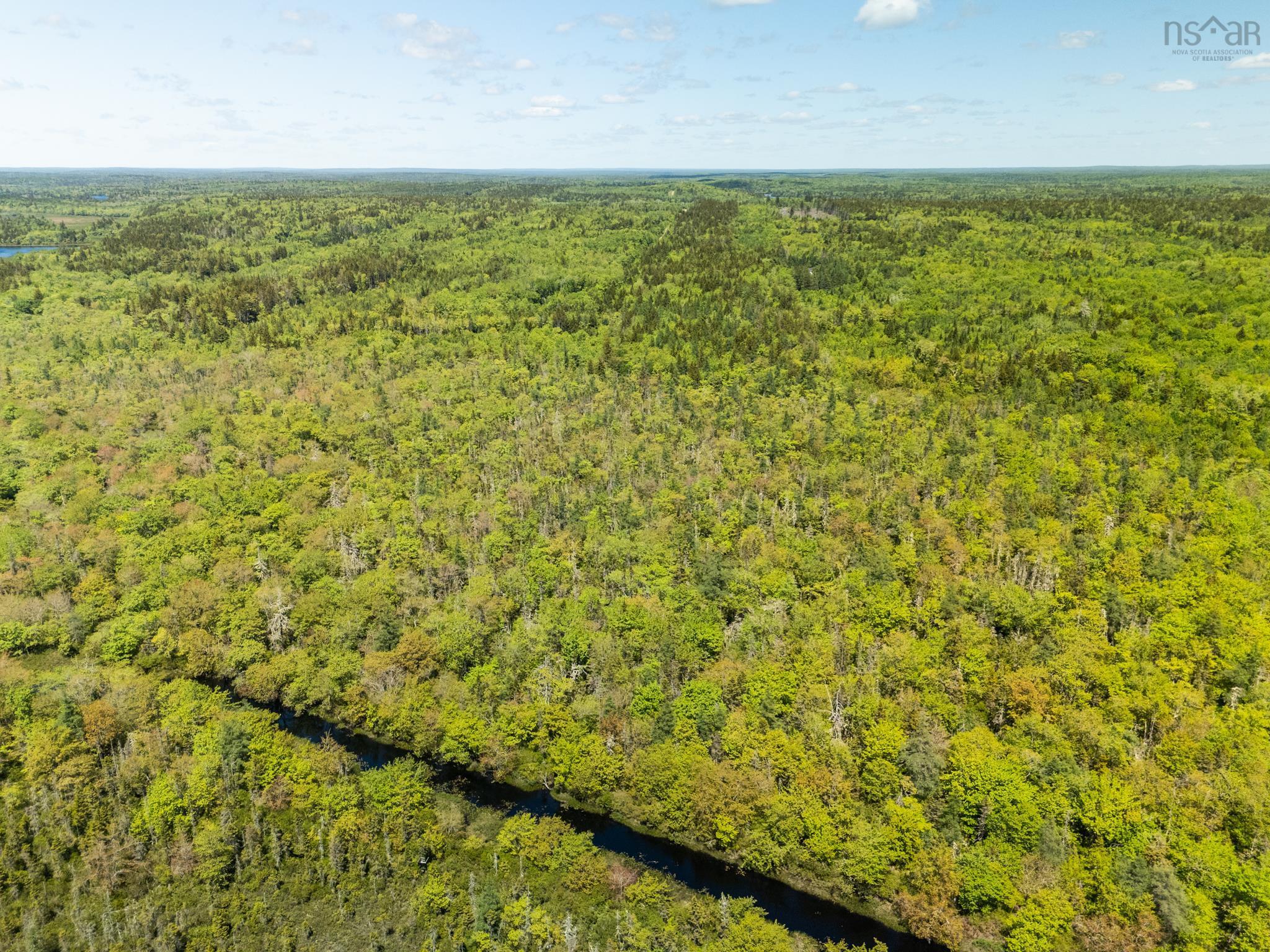 $40,000.00: Lots, Belleville Road, Belleville South