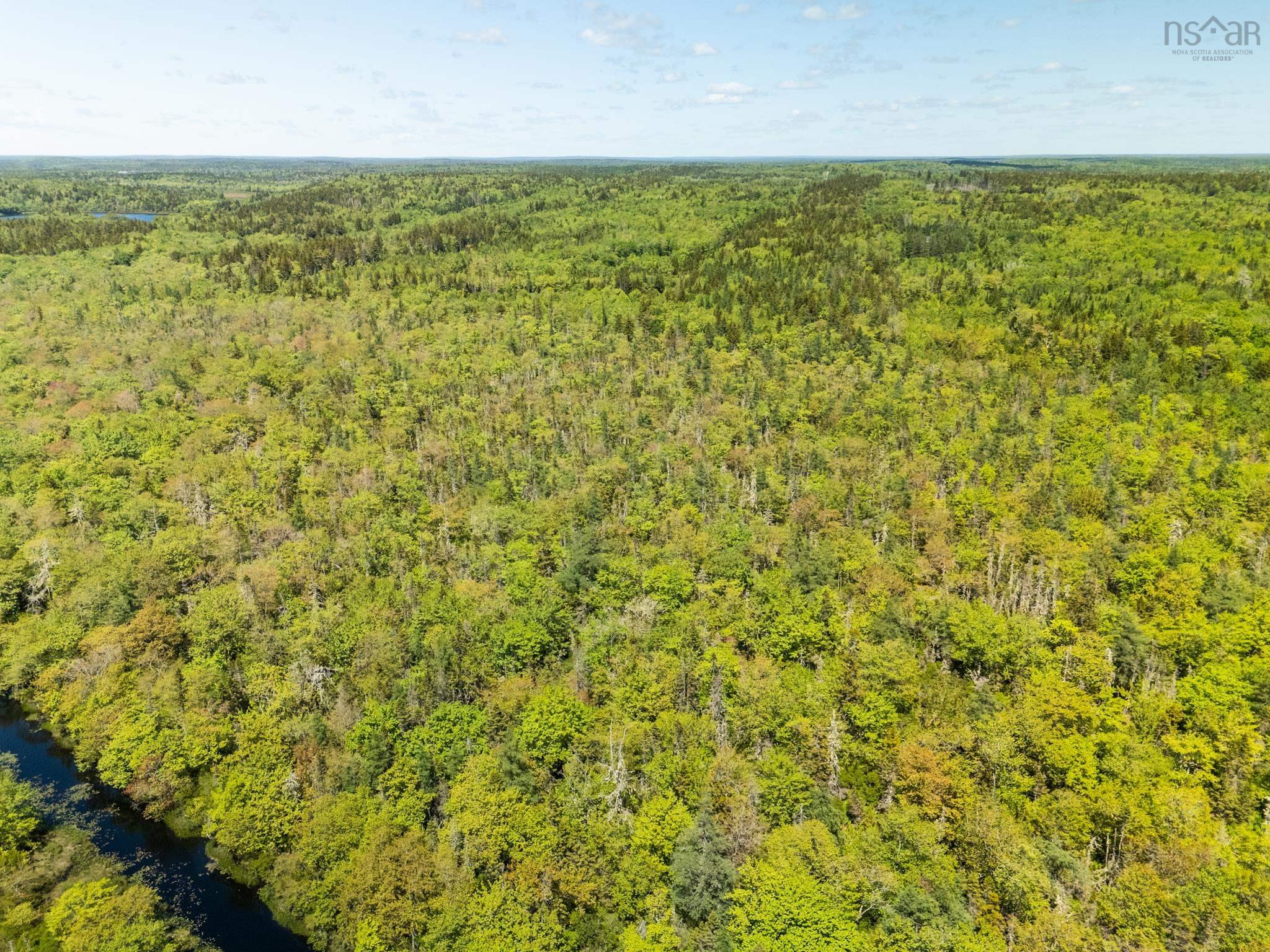 $40,000.00: Lots, Belleville Road, Belleville South