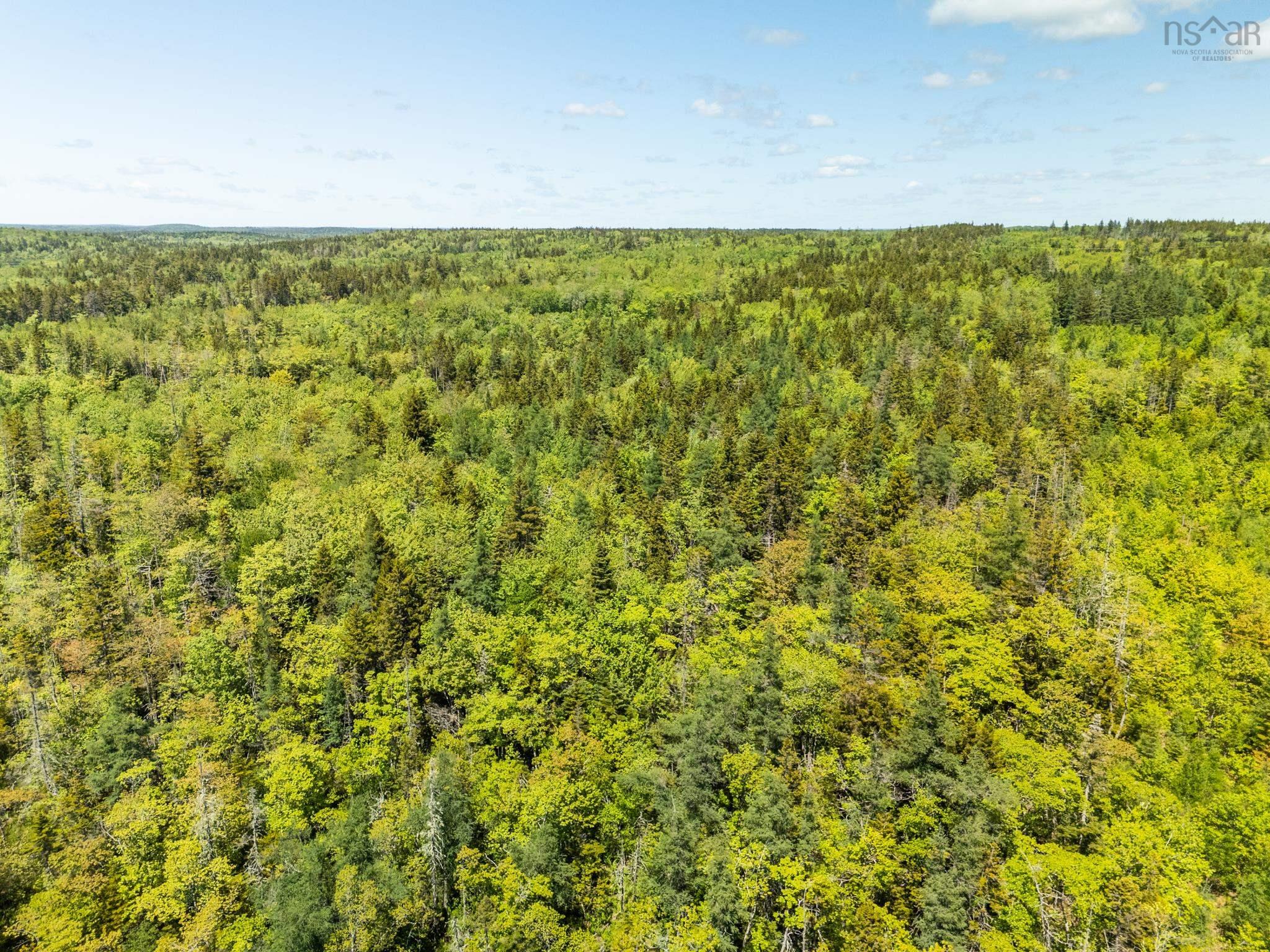 $40,000.00: Lots, Belleville Road, Belleville South