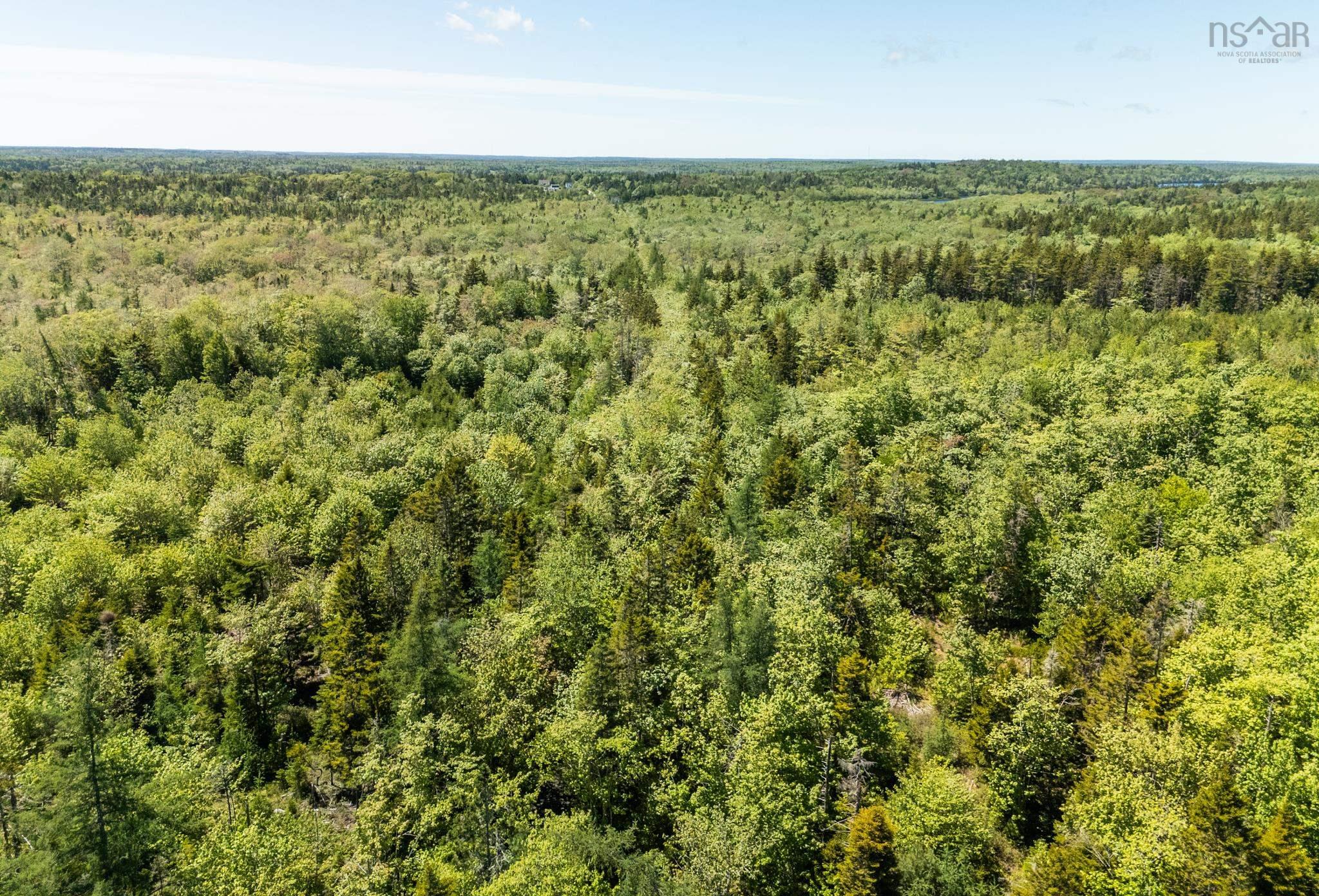 $40,000.00: Lots, Belleville Road, Belleville South