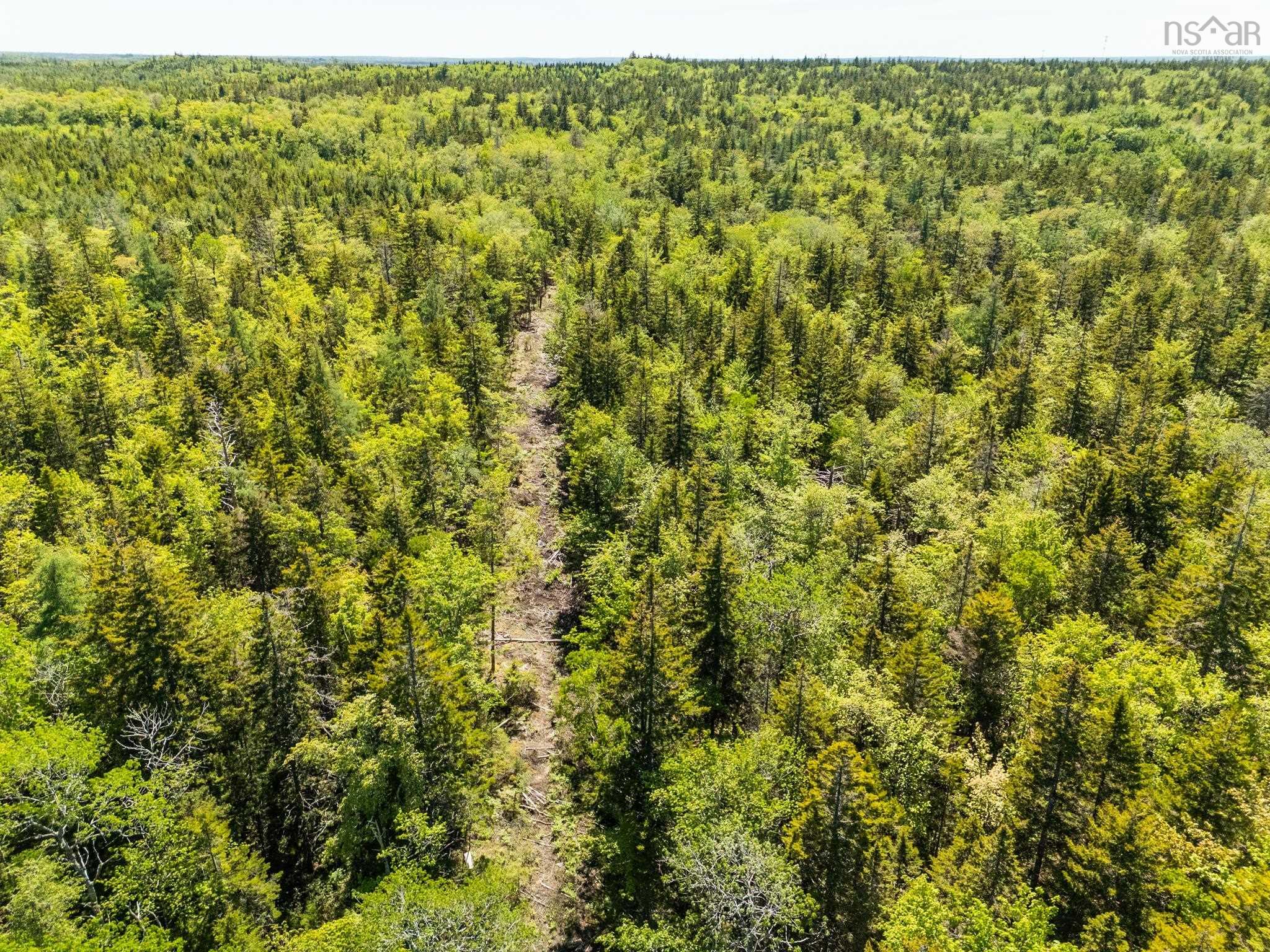 $225,000.00: Lots, Belleville Road, Belleville South