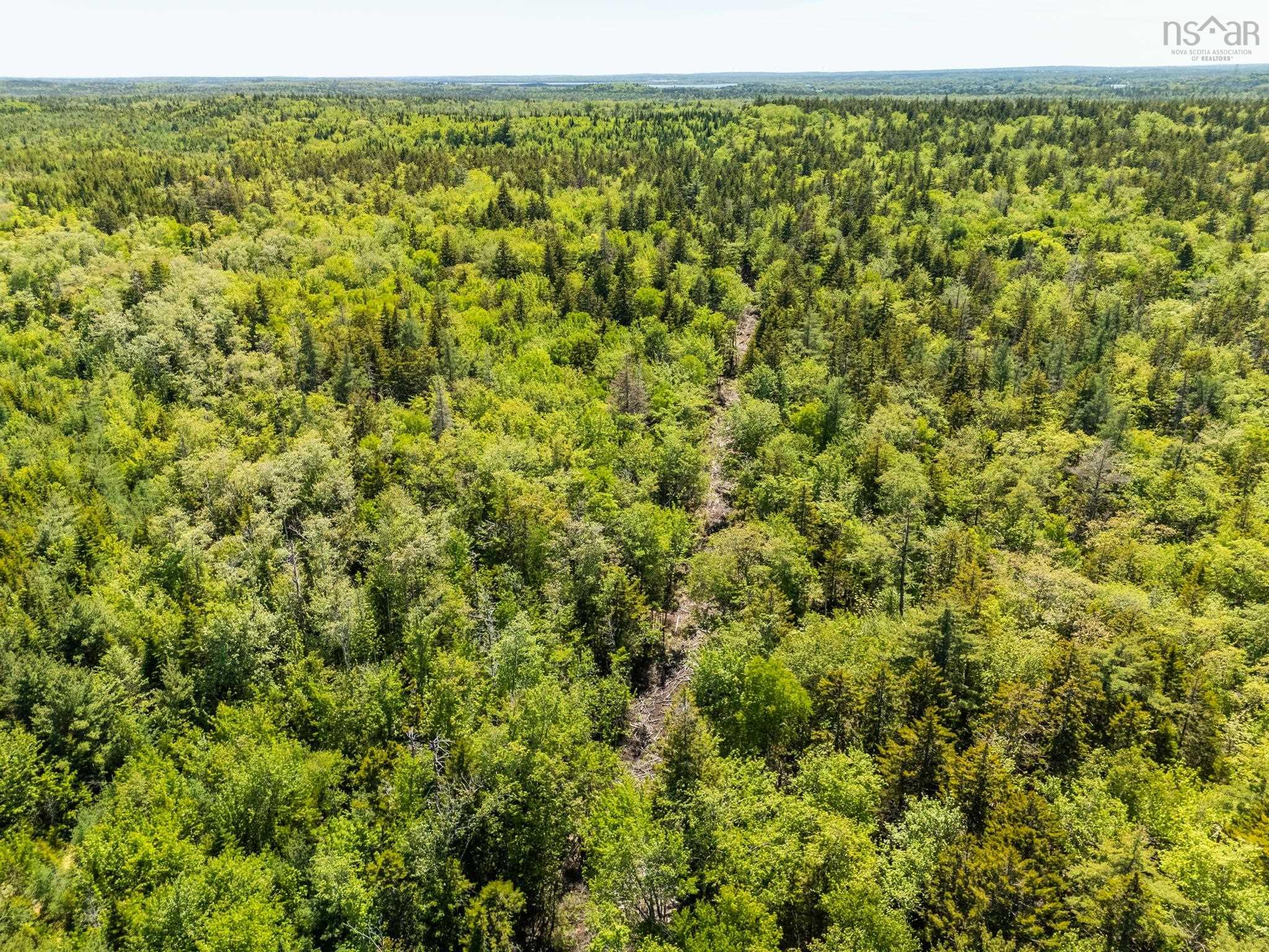 $225,000.00: Lots, Belleville Road, Belleville South