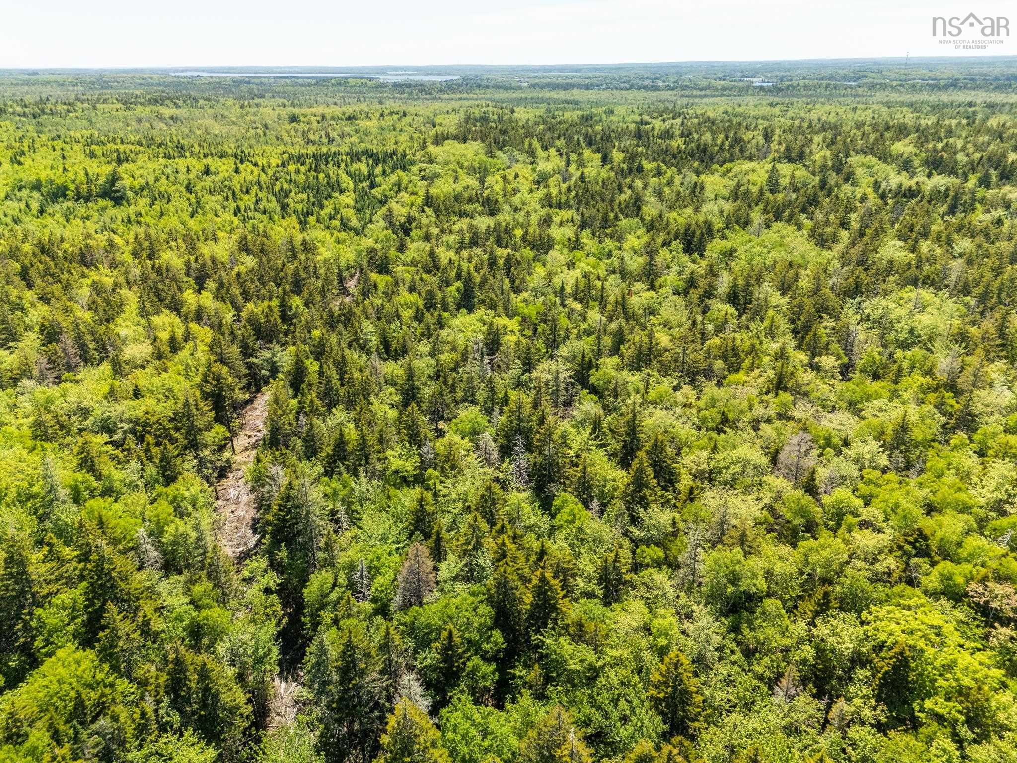 $225,000.00: Lots, Belleville Road, Belleville South