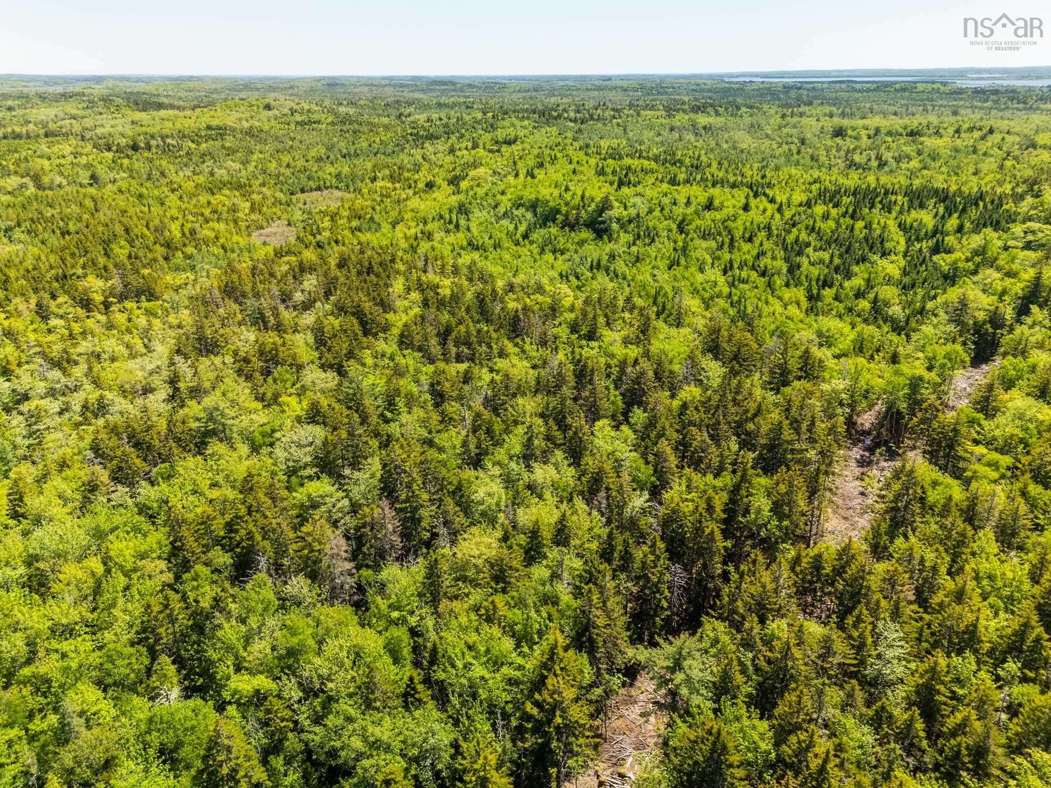 $225,000.00: Lots, Belleville Road, Belleville South