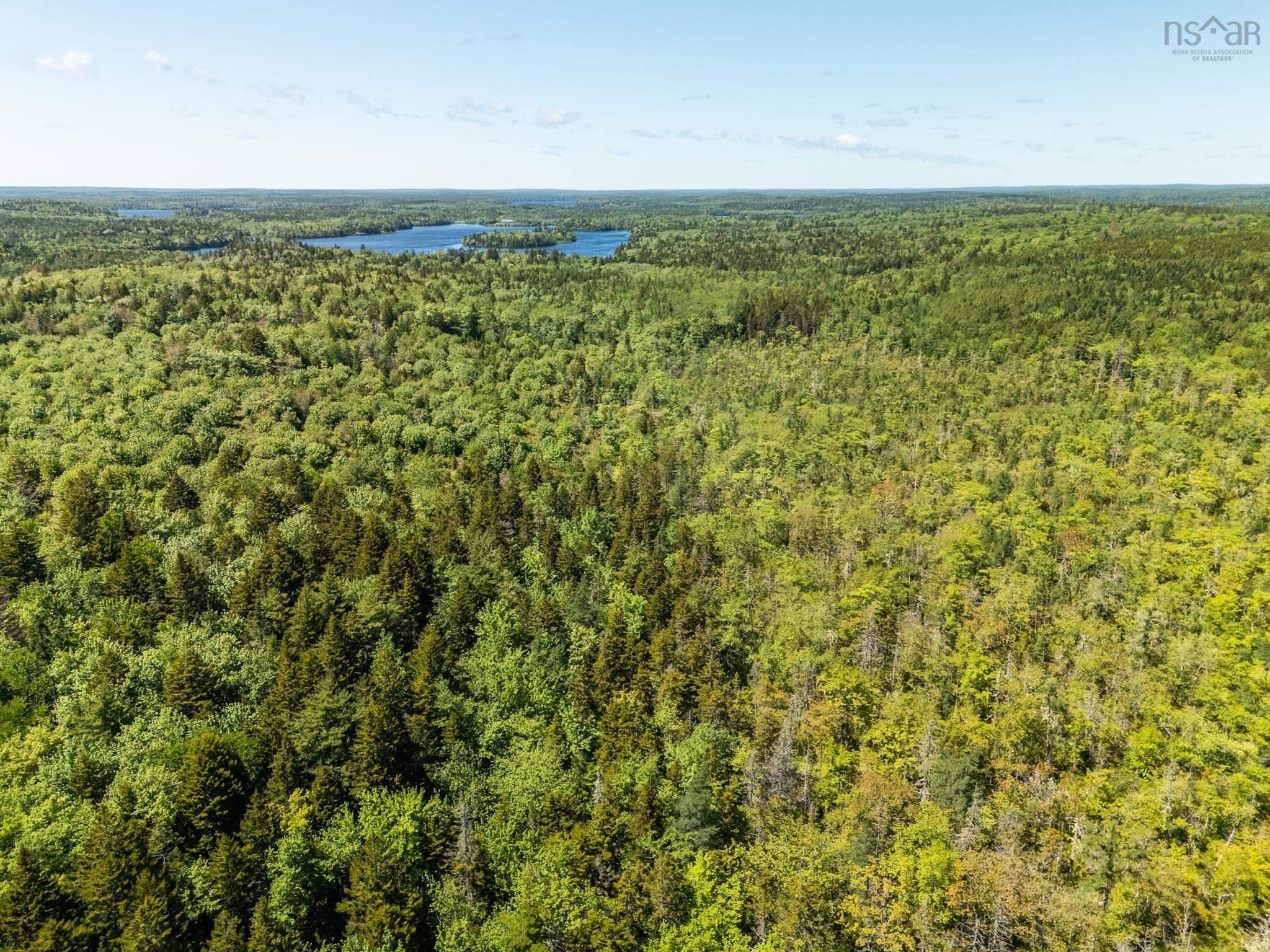 $40,000.00: Lot, Belleville South, Belleville South