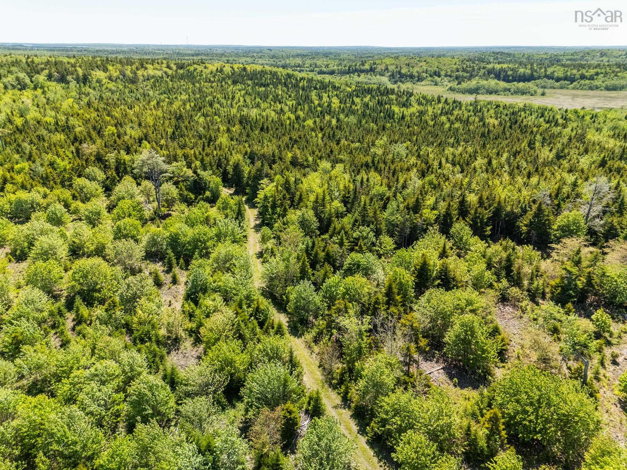 $40,000.00: Lot, Belleville South, Belleville South