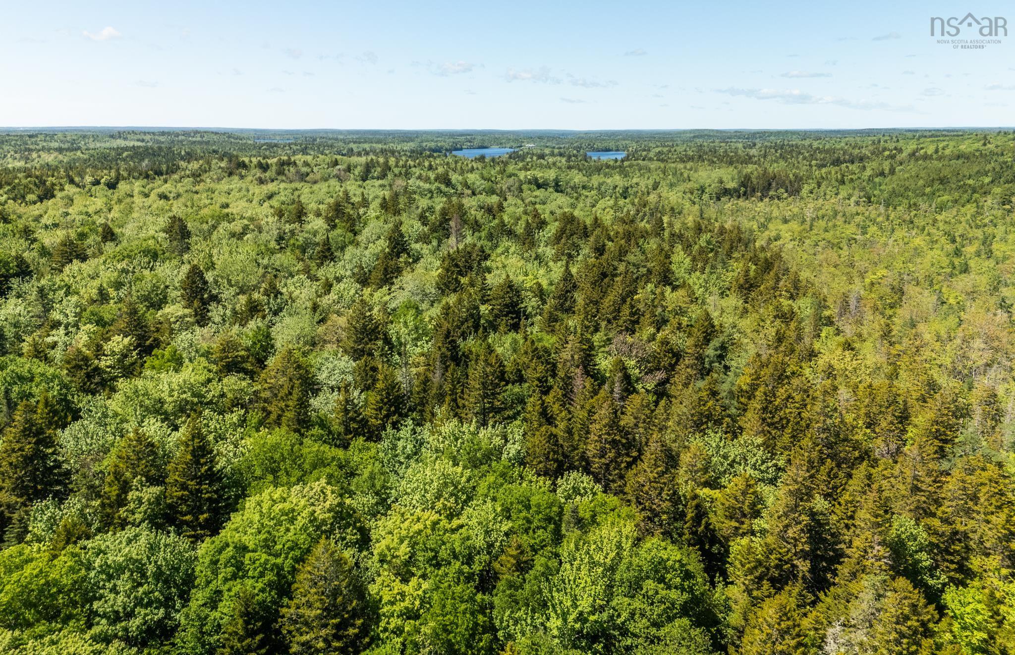 $40,000.00: Lot, Belleville South, Belleville South