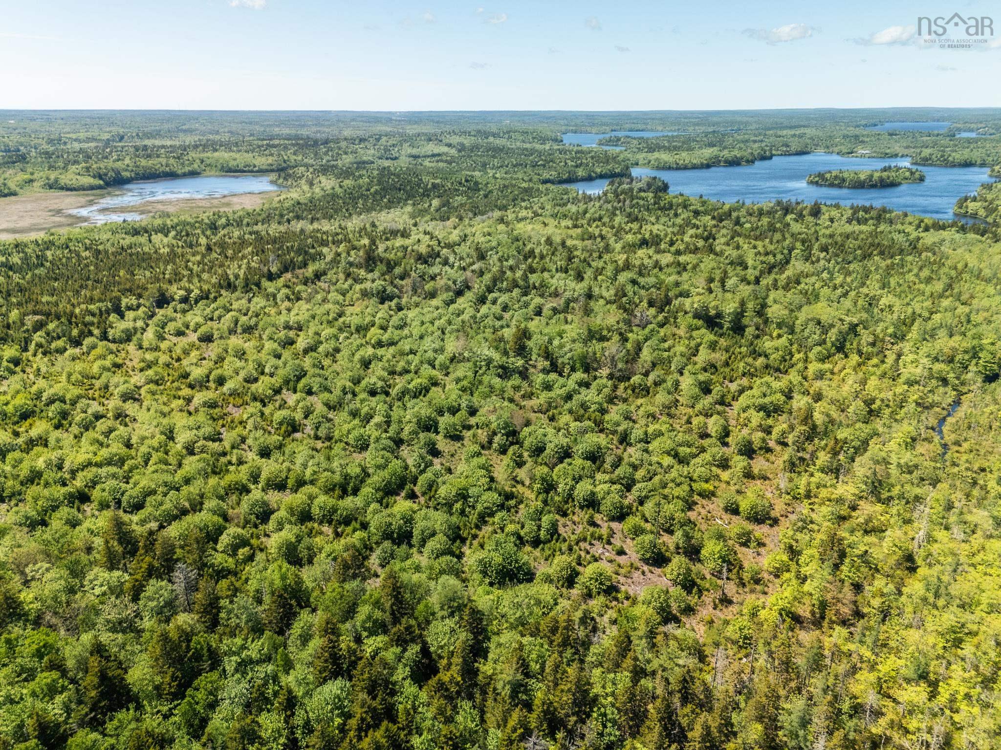 $40,000.00: Lot, Belleville South, Belleville South