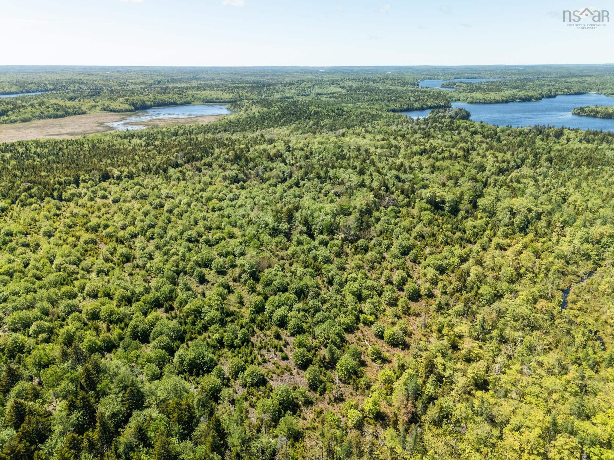 $40,000.00: Lot, Belleville South, Belleville South