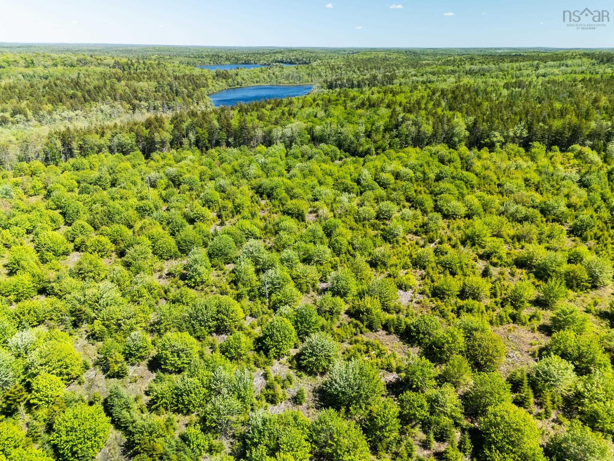 $40,000.00: Lot, Belleville South, Belleville South