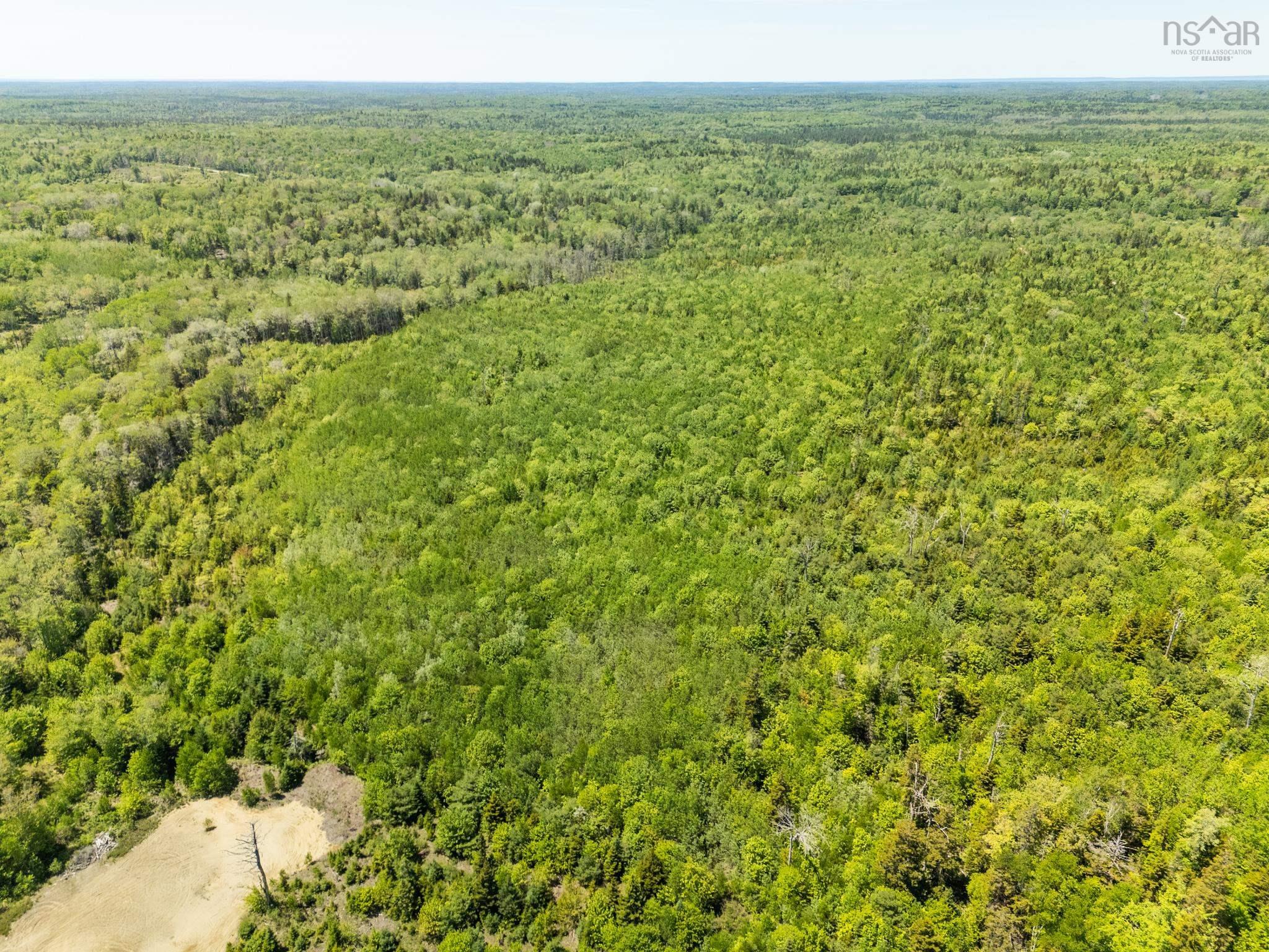 $100,000.00: Lot, Hectanooga Road, Briar Lake