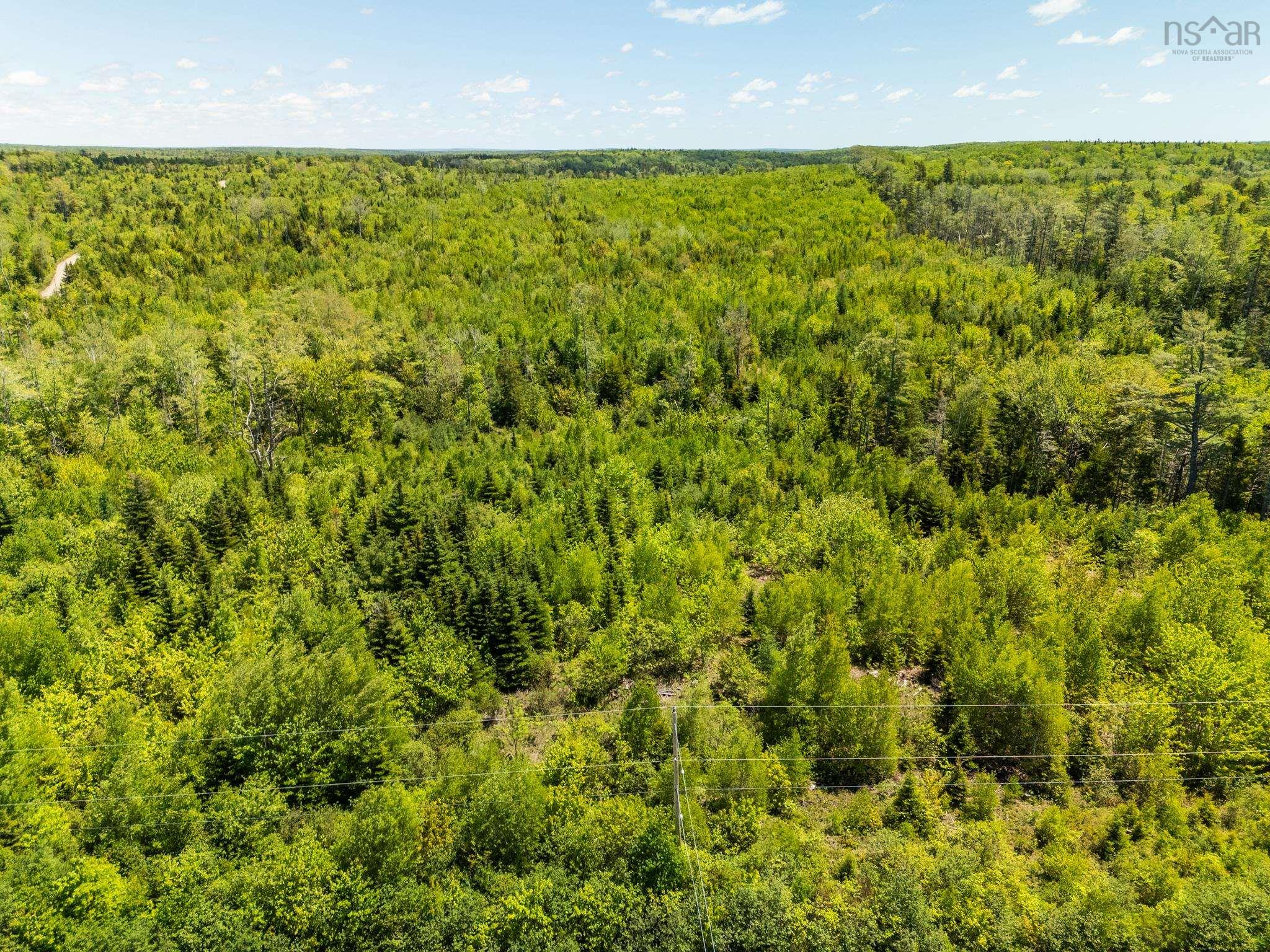 $100,000.00: Lot, Hectanooga Road, Briar Lake